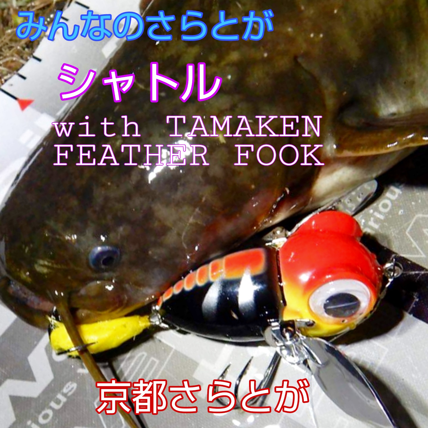 みんなのさらとが2月28日更新