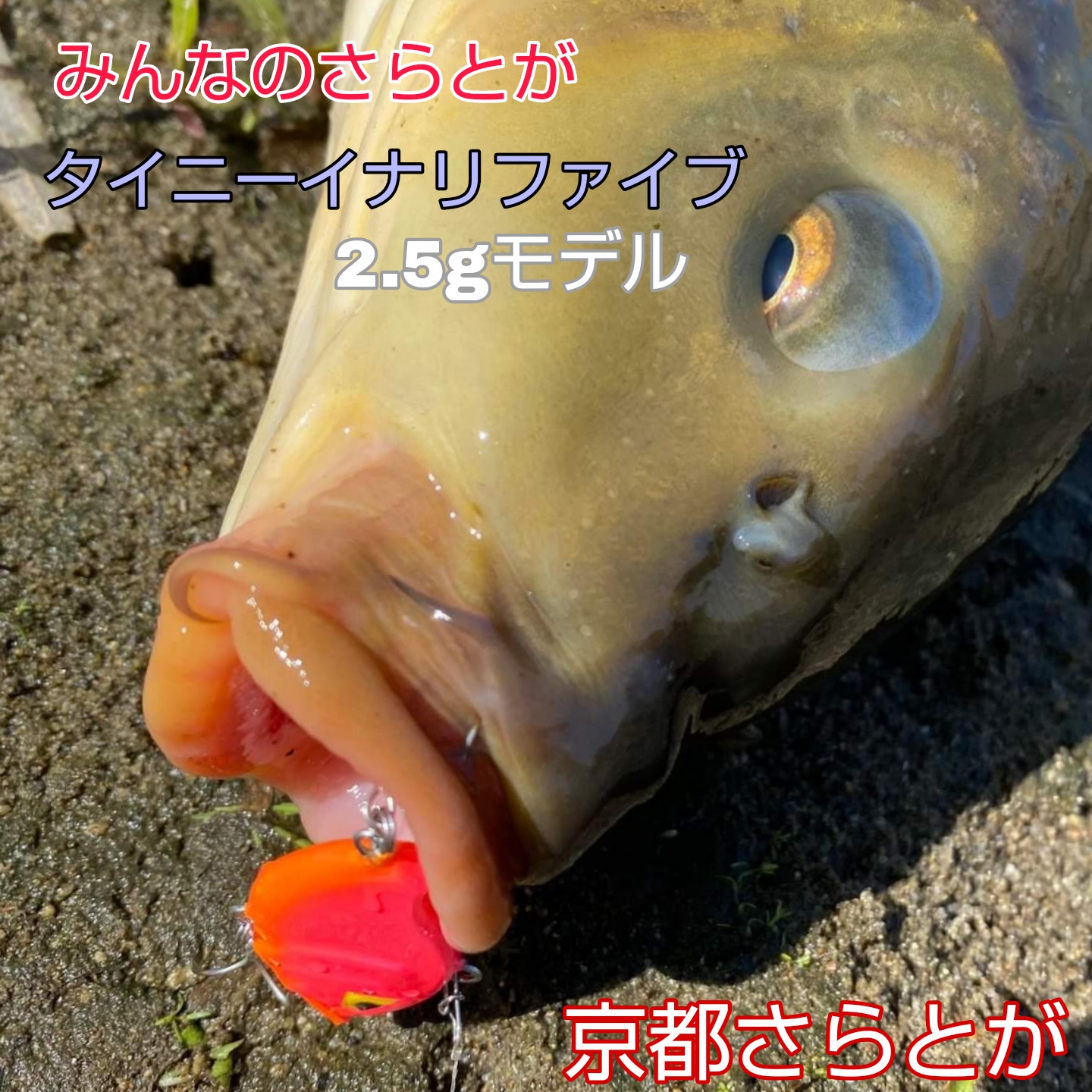 みんなのさらとが3月26日更新