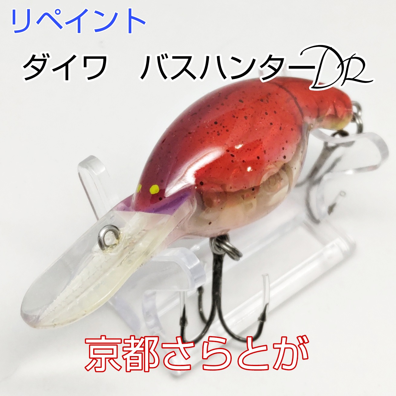 さらとが通信2月17日更新