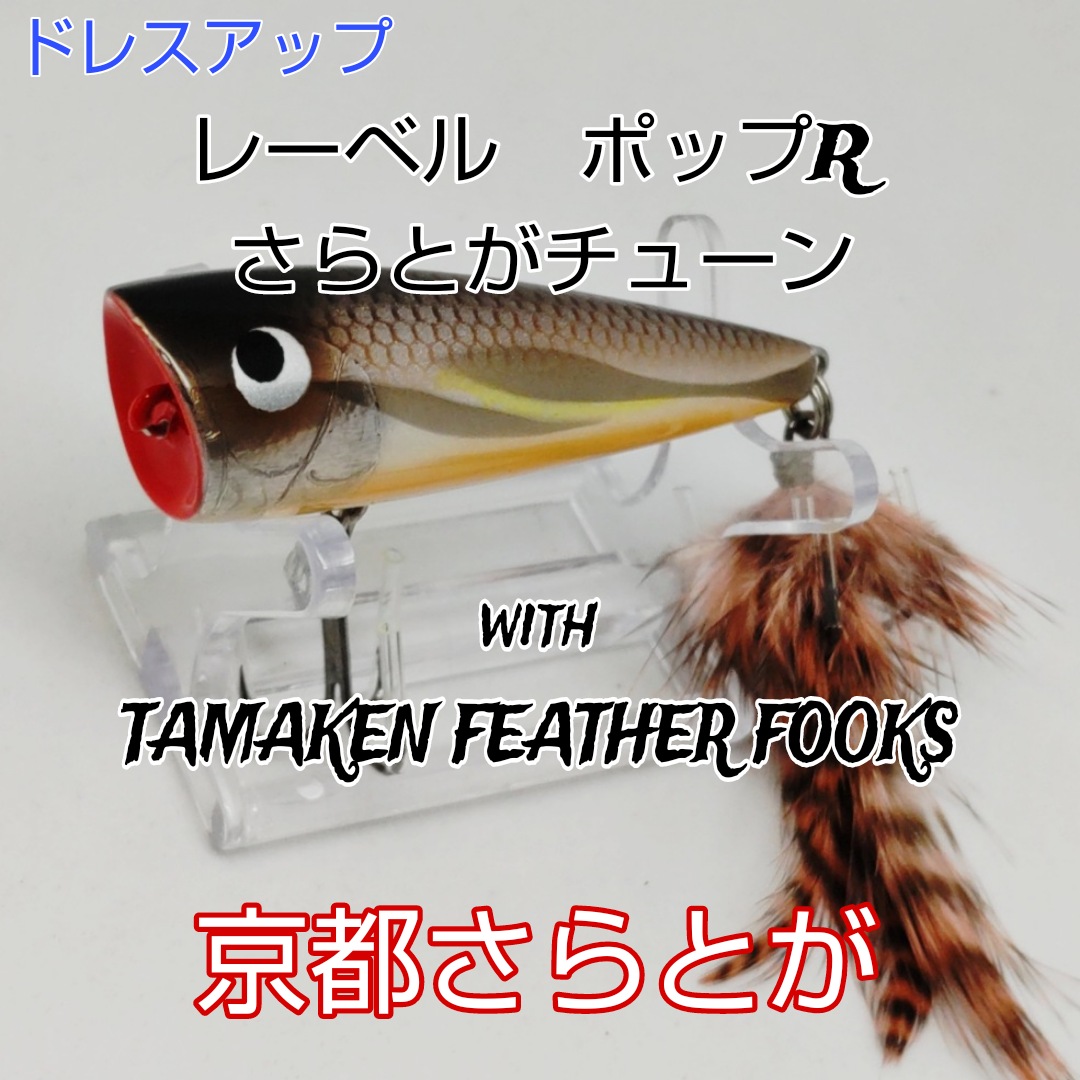 さらとが通信 10月8日更新