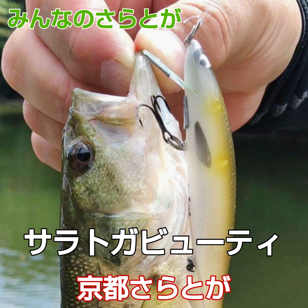 みんなのさらとが 8月19日更新