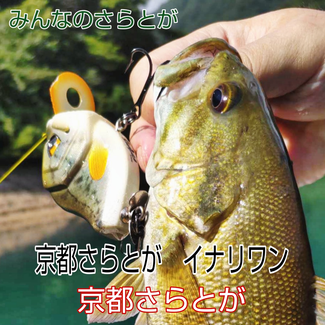 さらとが通信　7月15日更新