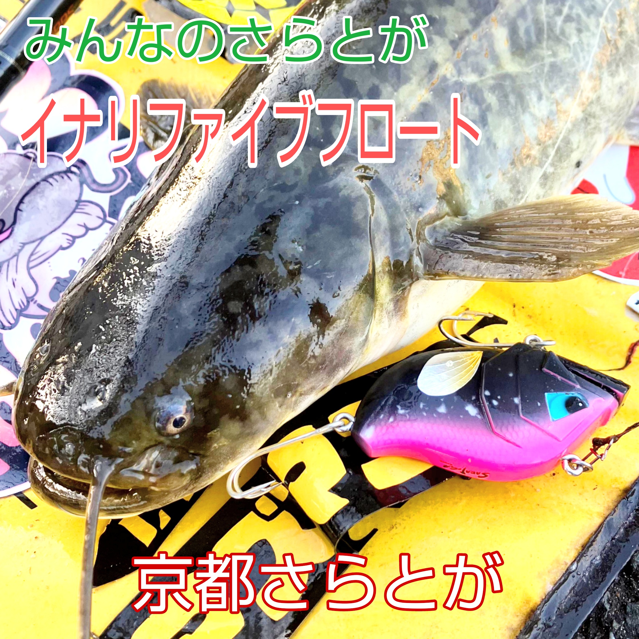 みんなのさらとが5月24日更新