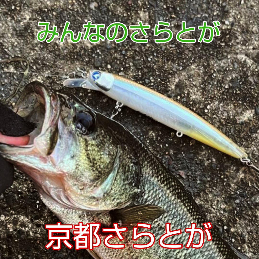 みんなのさらとが2月21日更新