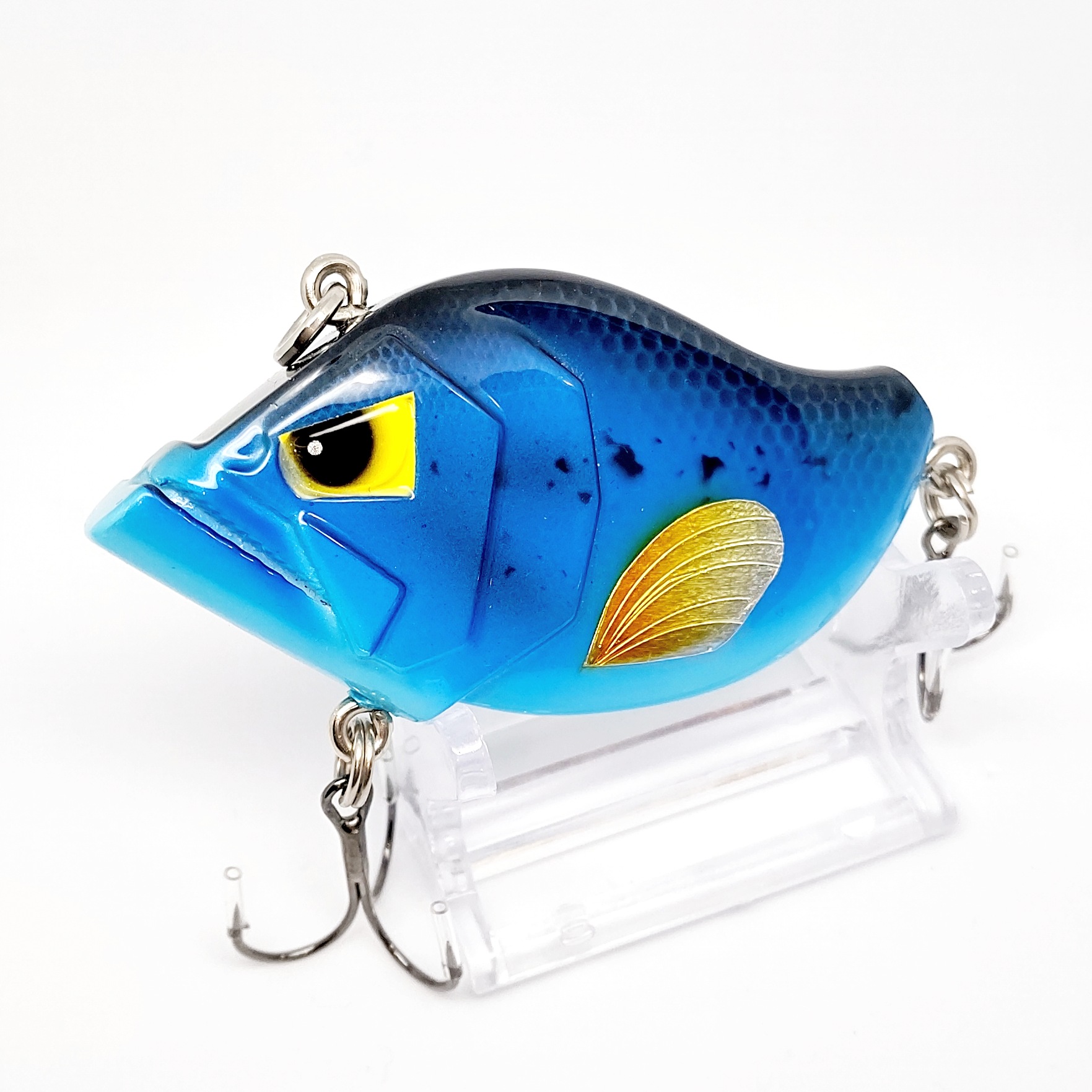 さらとが通信3月21日更新