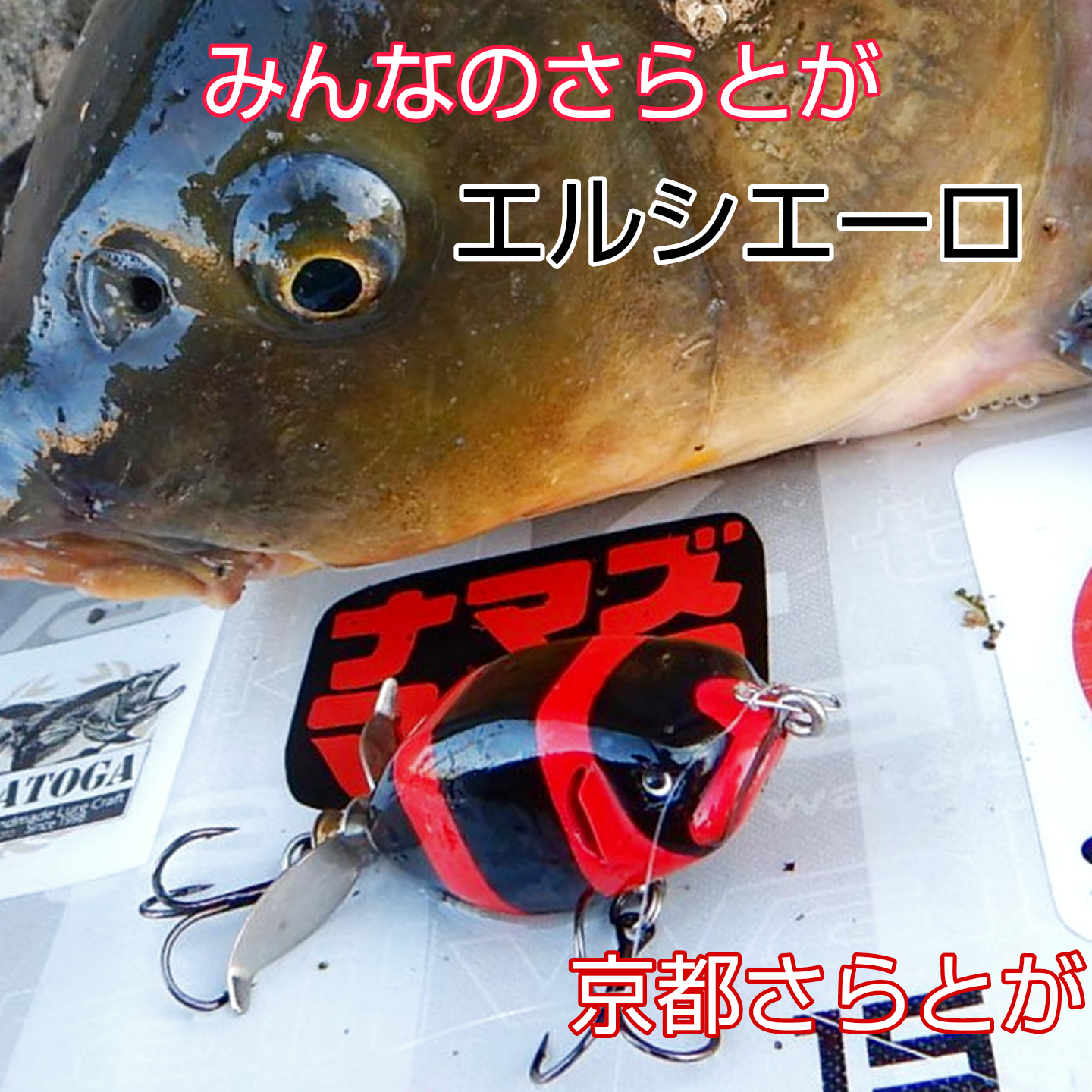 みんなのさらとが10月3日更新