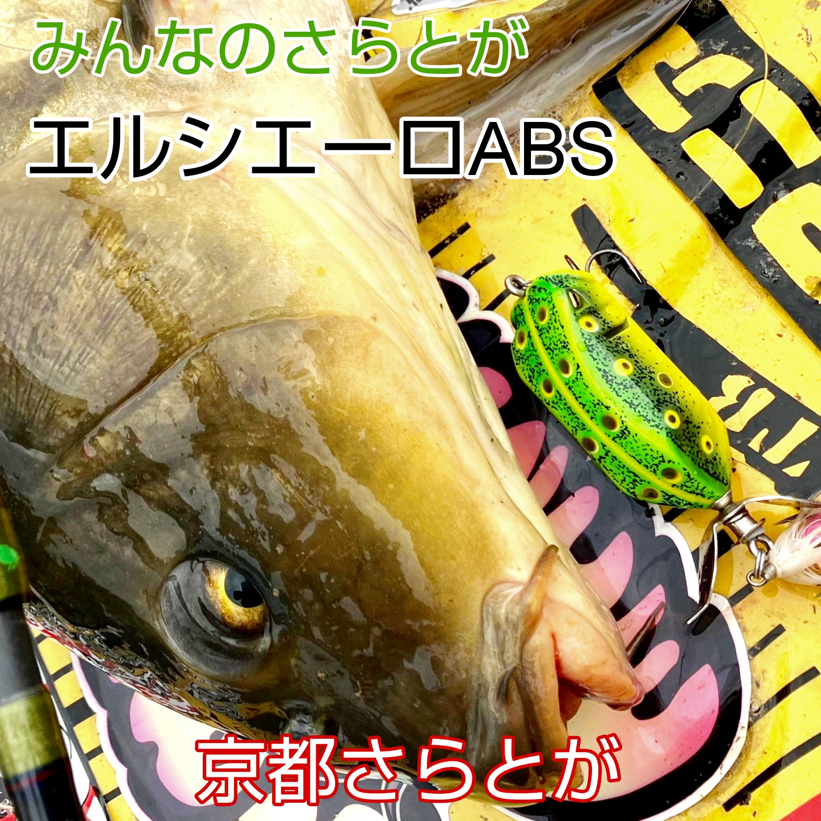 みんなのさらとが4月14日更新