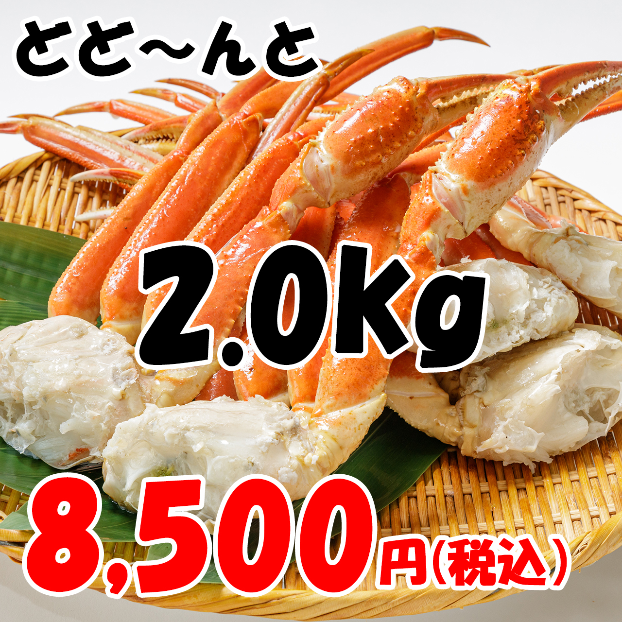 大特価！2.0kg（5肩）5Lサイズのずわいがに肩・脚が8,500円！！！