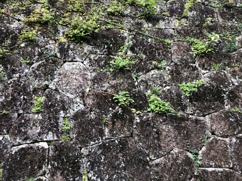 大分の美しい風景に出会いました