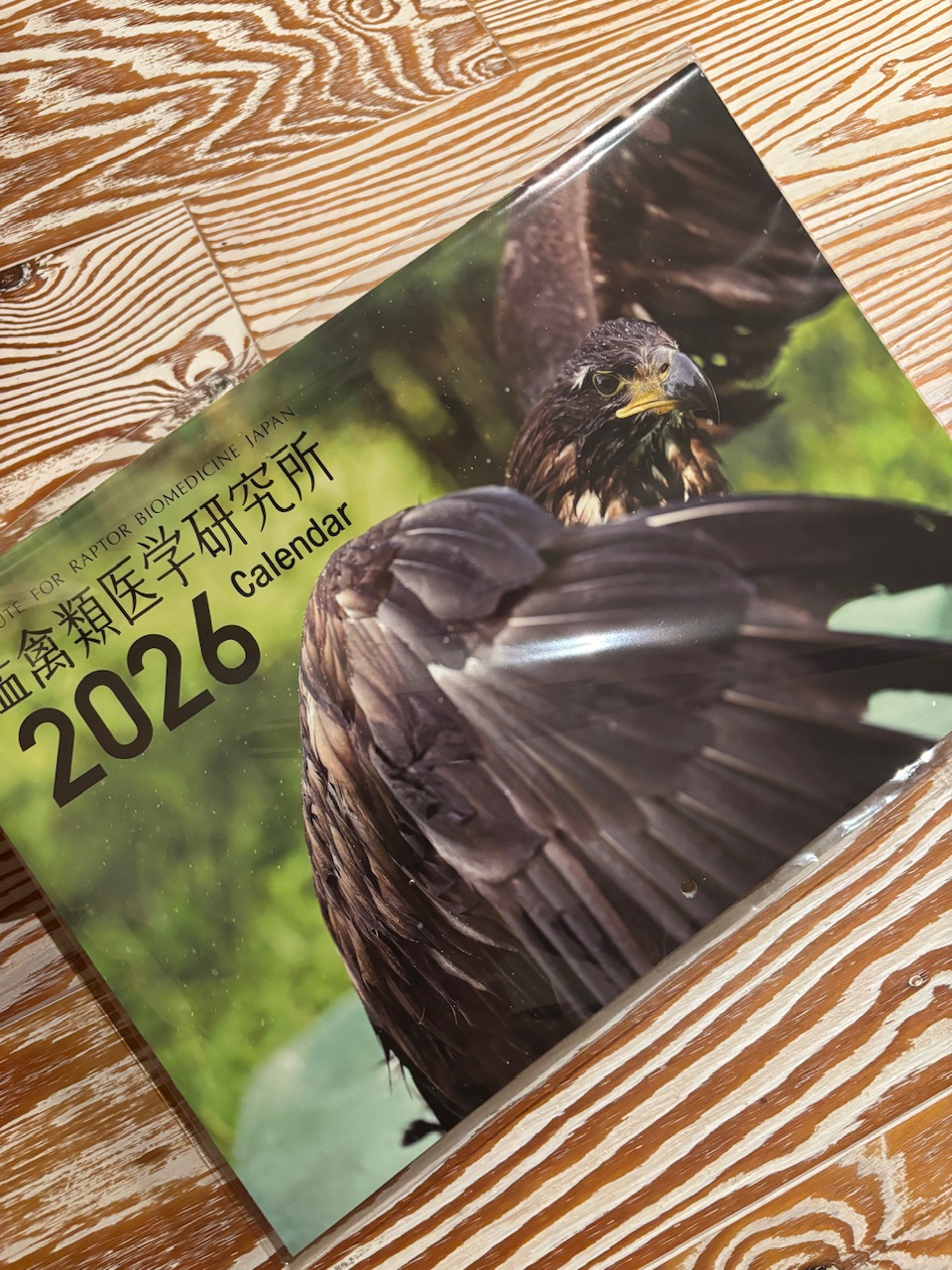 猛禽類医学研究所のカレンダーが来ました。