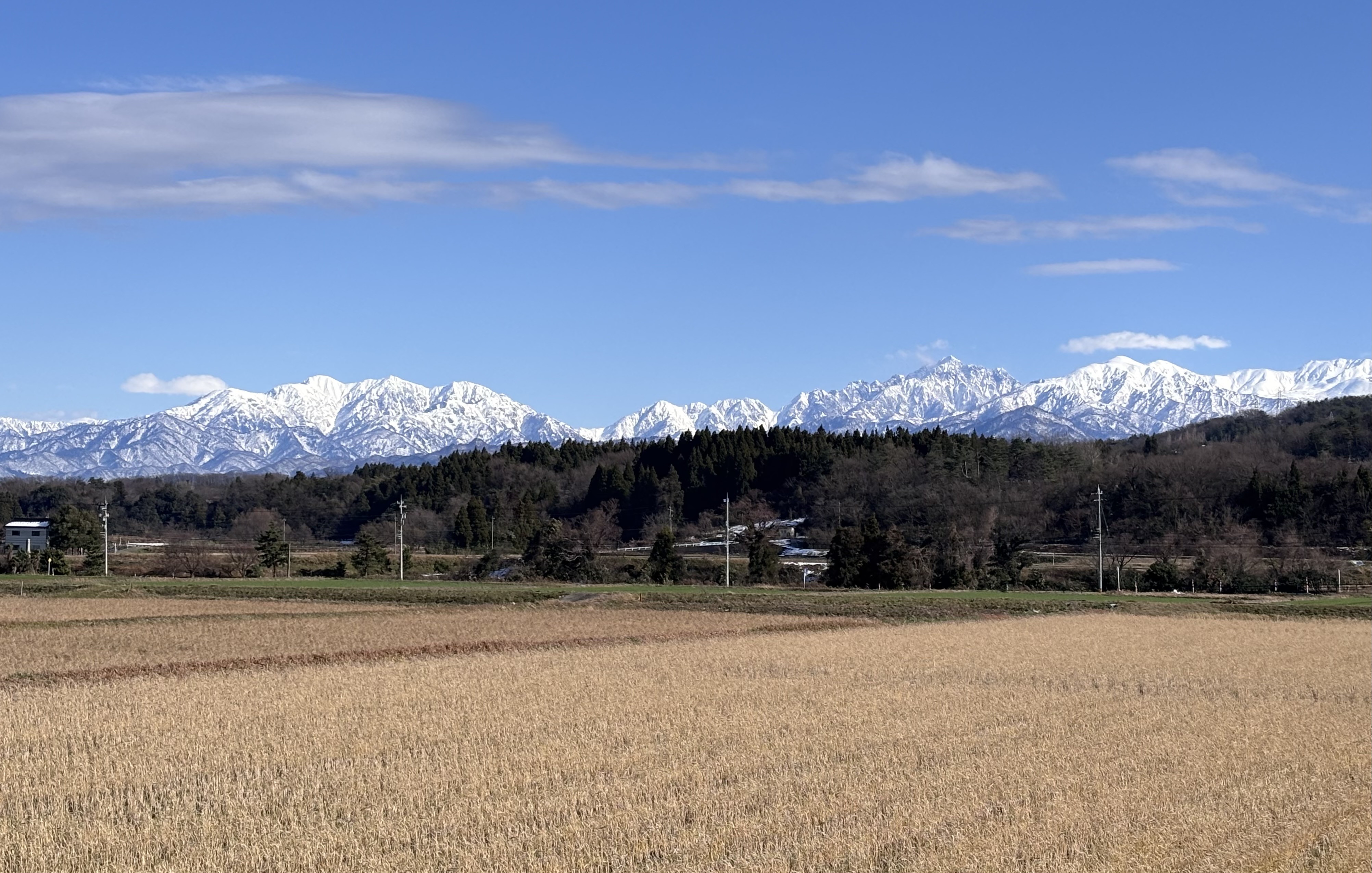 年末のご挨拶と近況