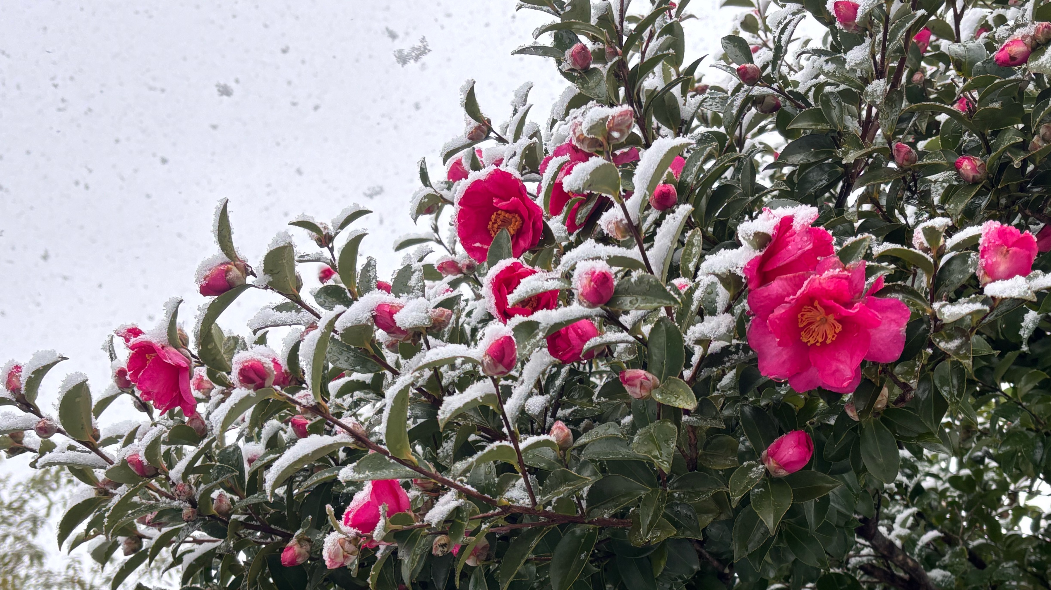 年末のご挨拶と御礼