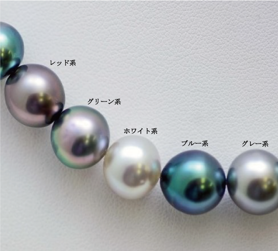 黒蝶真珠の色パターン