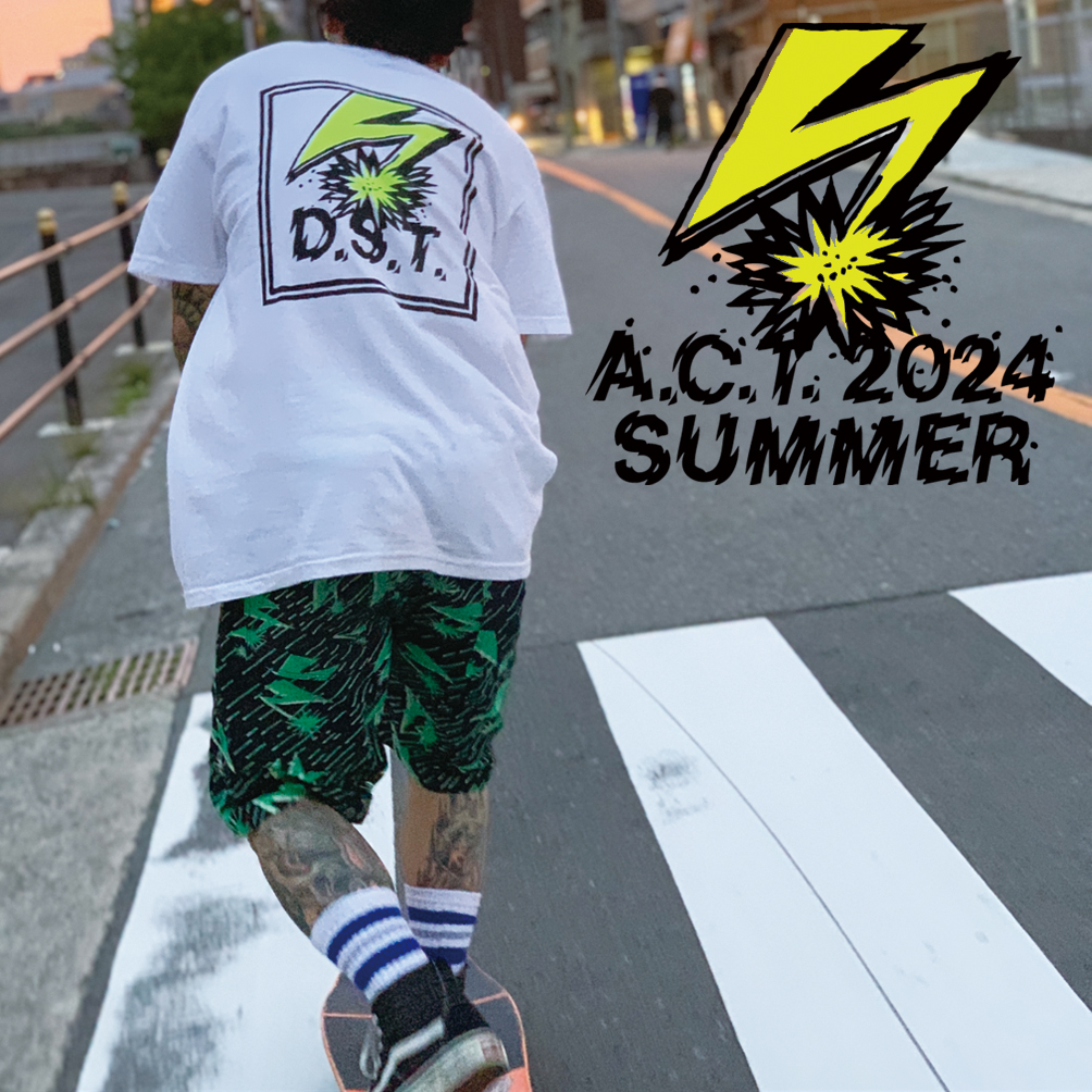 DESTROY STEREOTYPE(D.S.T.)シリーズの始まり