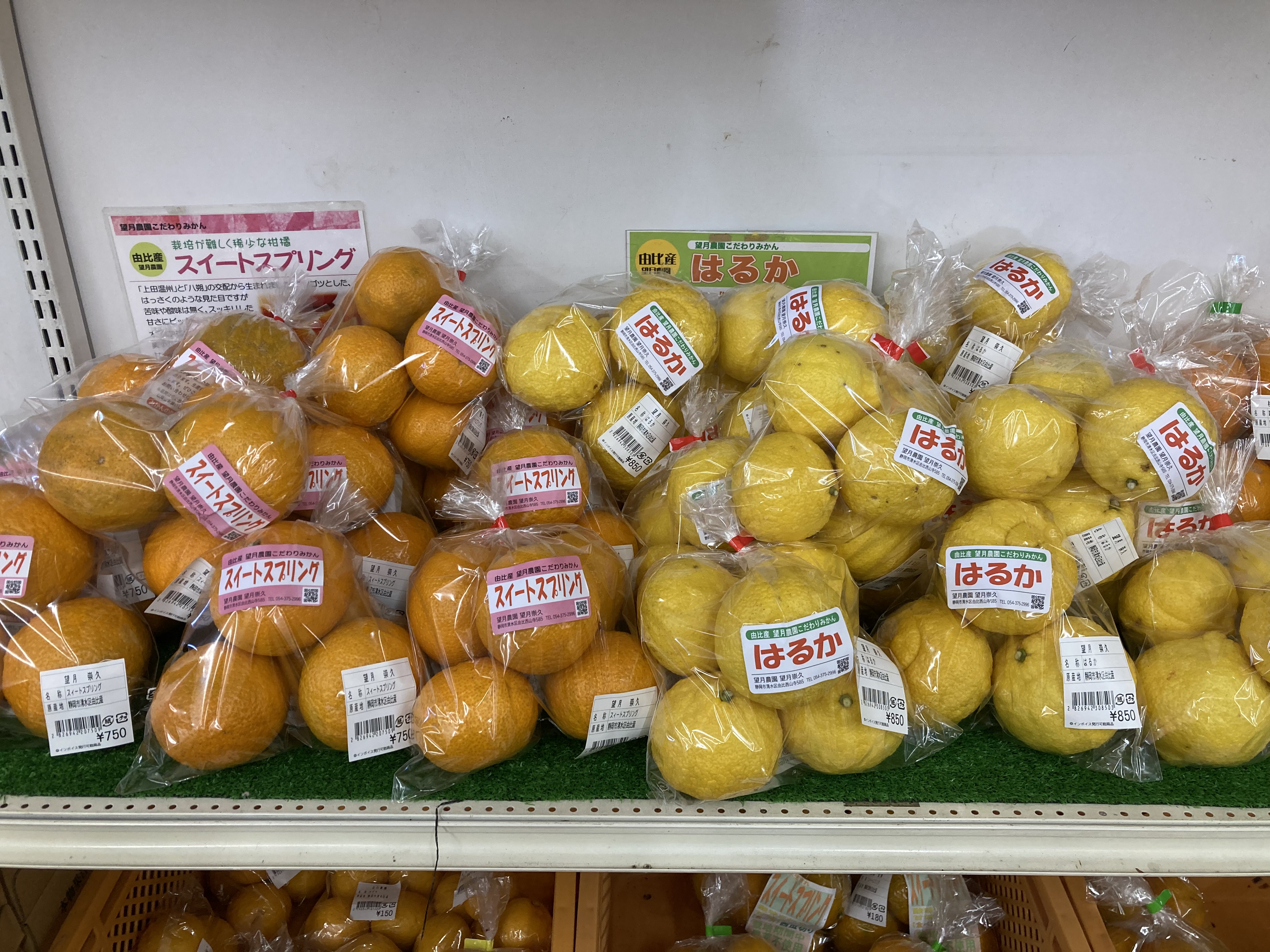 みかん彩る季節