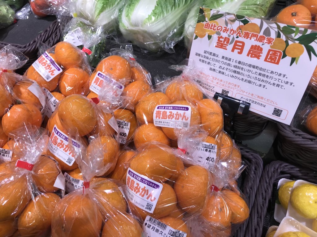 新たなPOP登場！