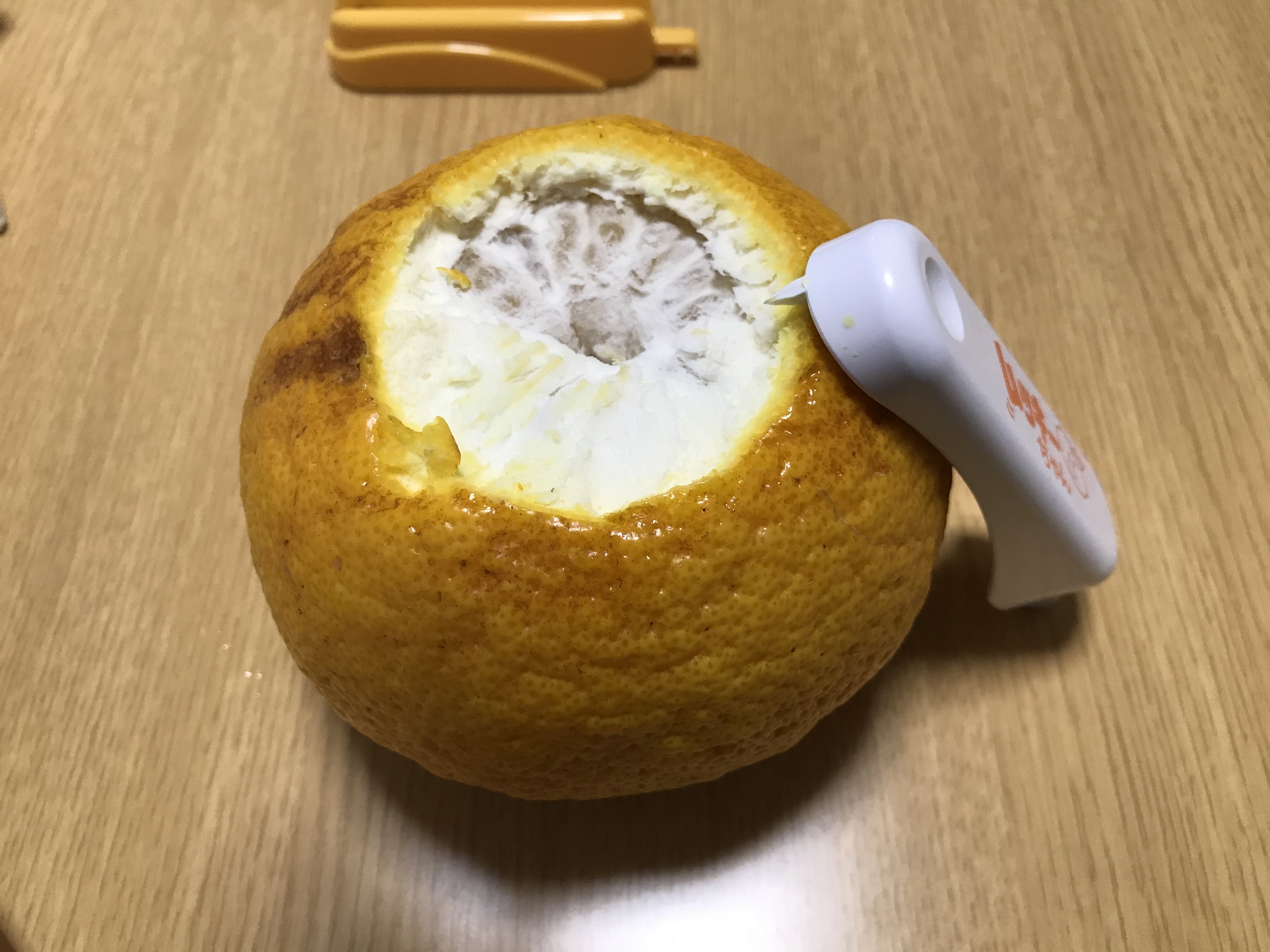甘夏の強い味方、ムッキーちゃん