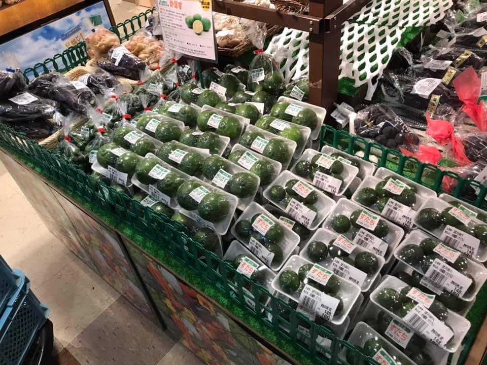 今期の販売が開始です！