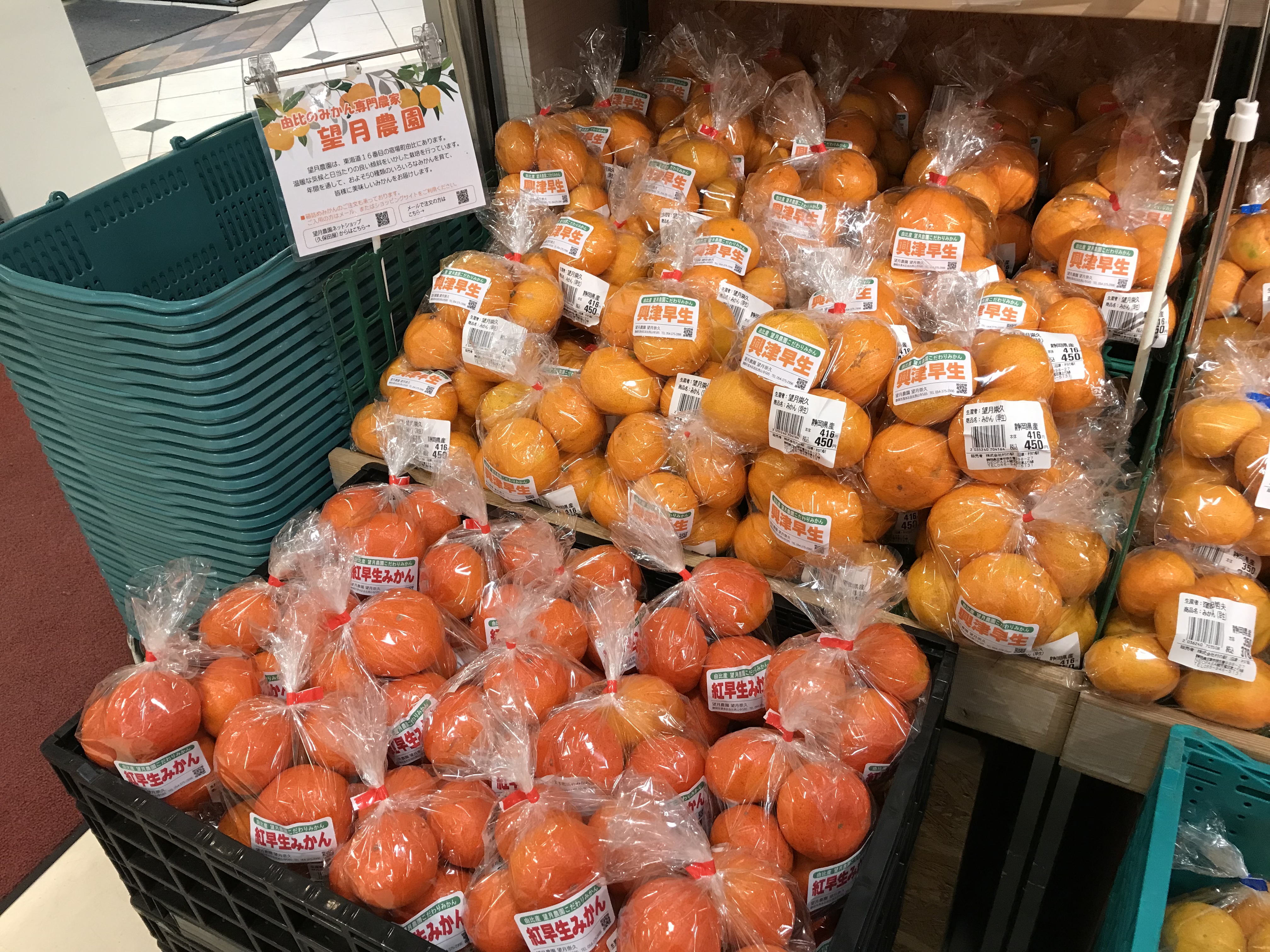 一際目を引く紅早生みかん