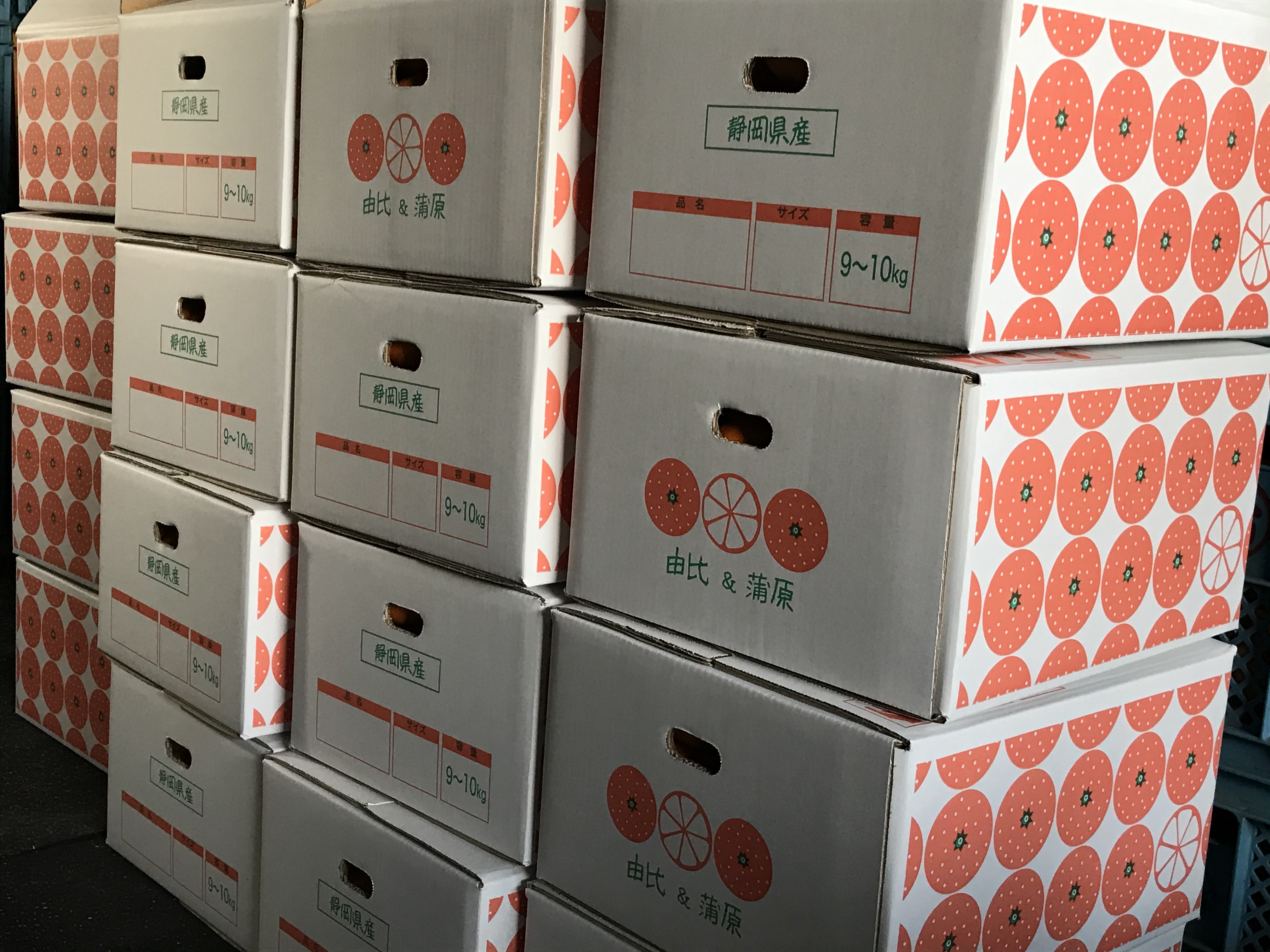 お歳暮出荷開始！