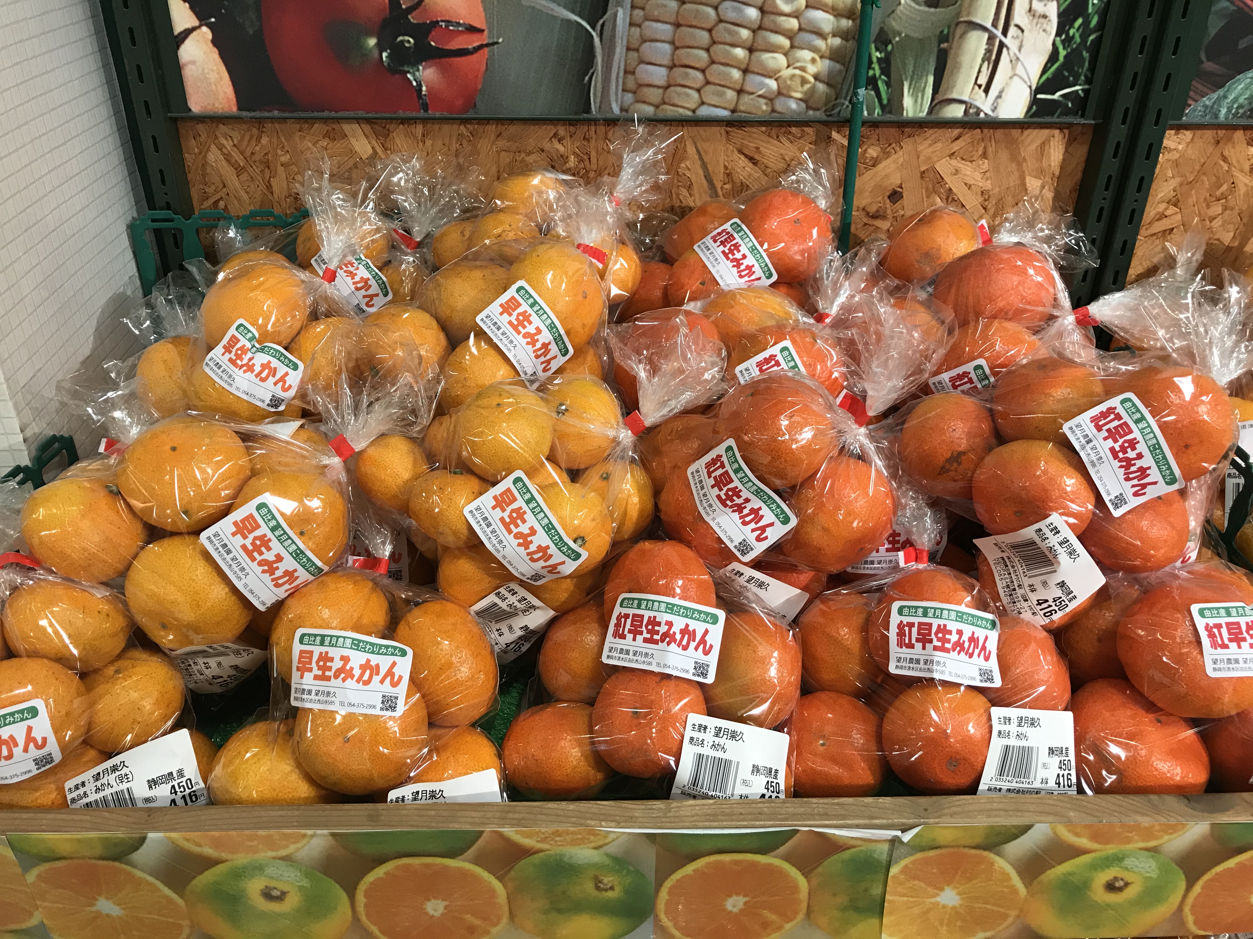 駿河湾沼津SAで紅早生みかん販売中