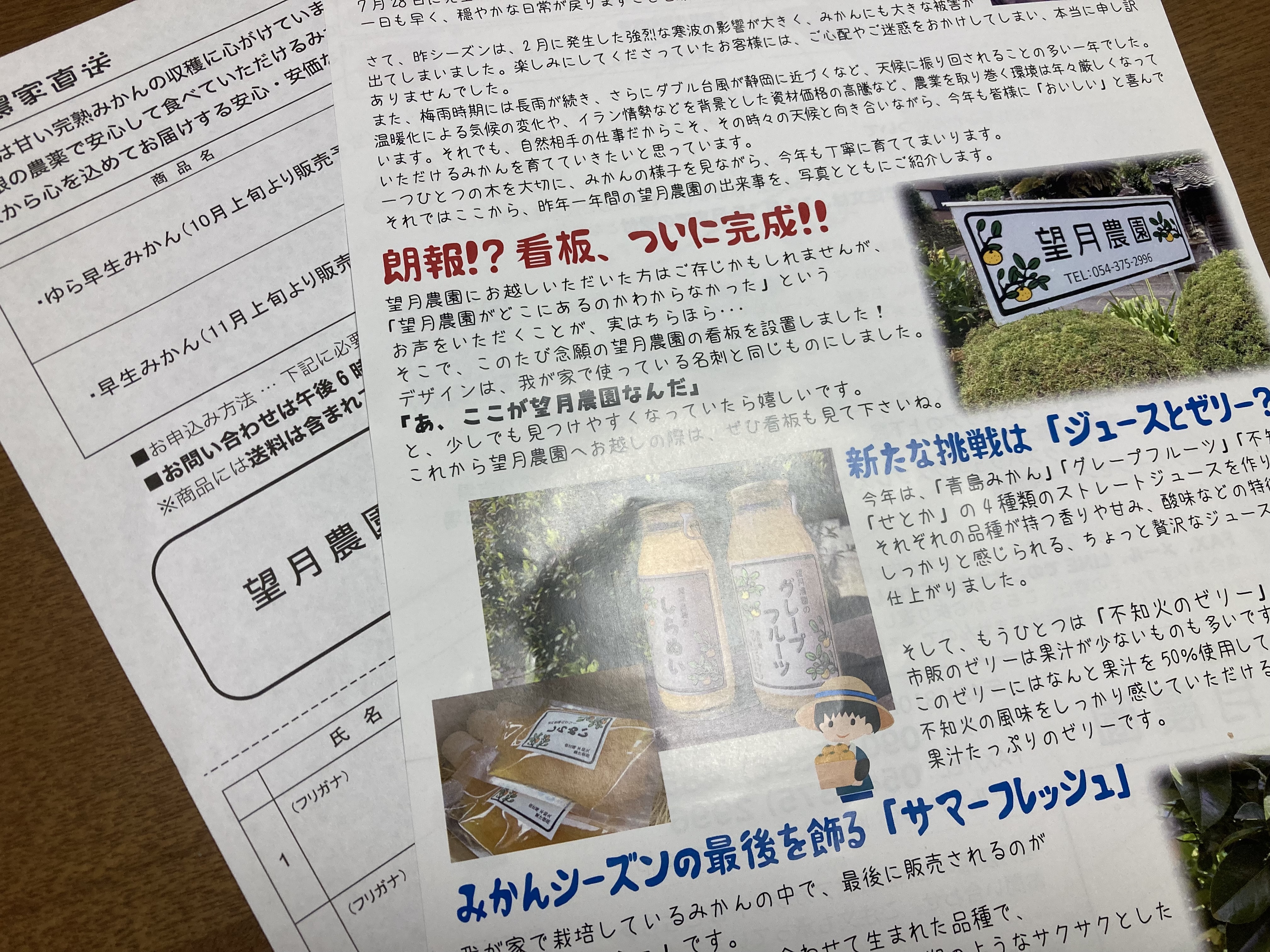 チラシが出来ました
