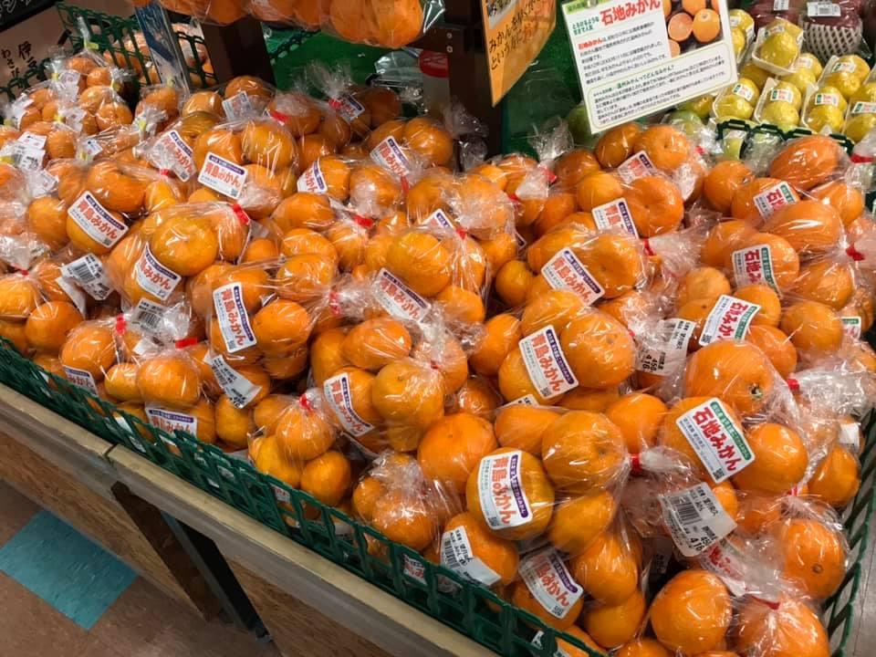 農産物直売所に、青島みかん出し始めました