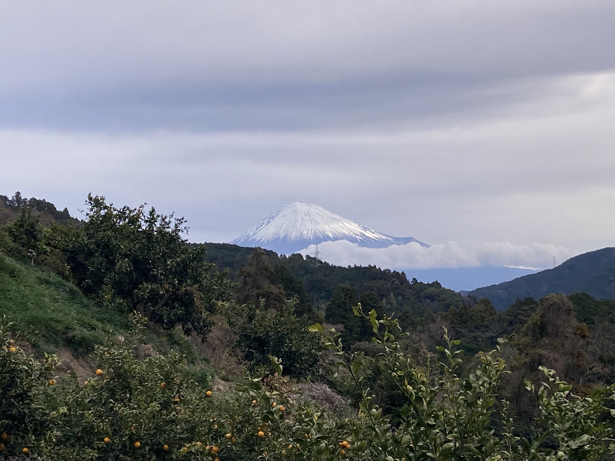 新年明けまして、おめでとうございます