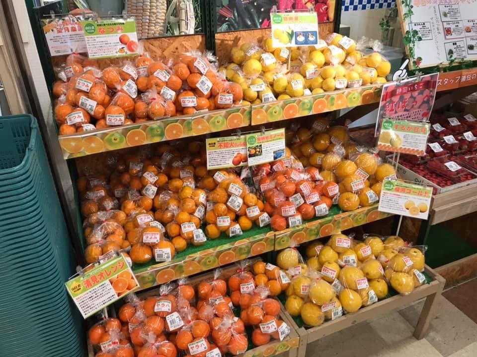 現在販売している柑橘類