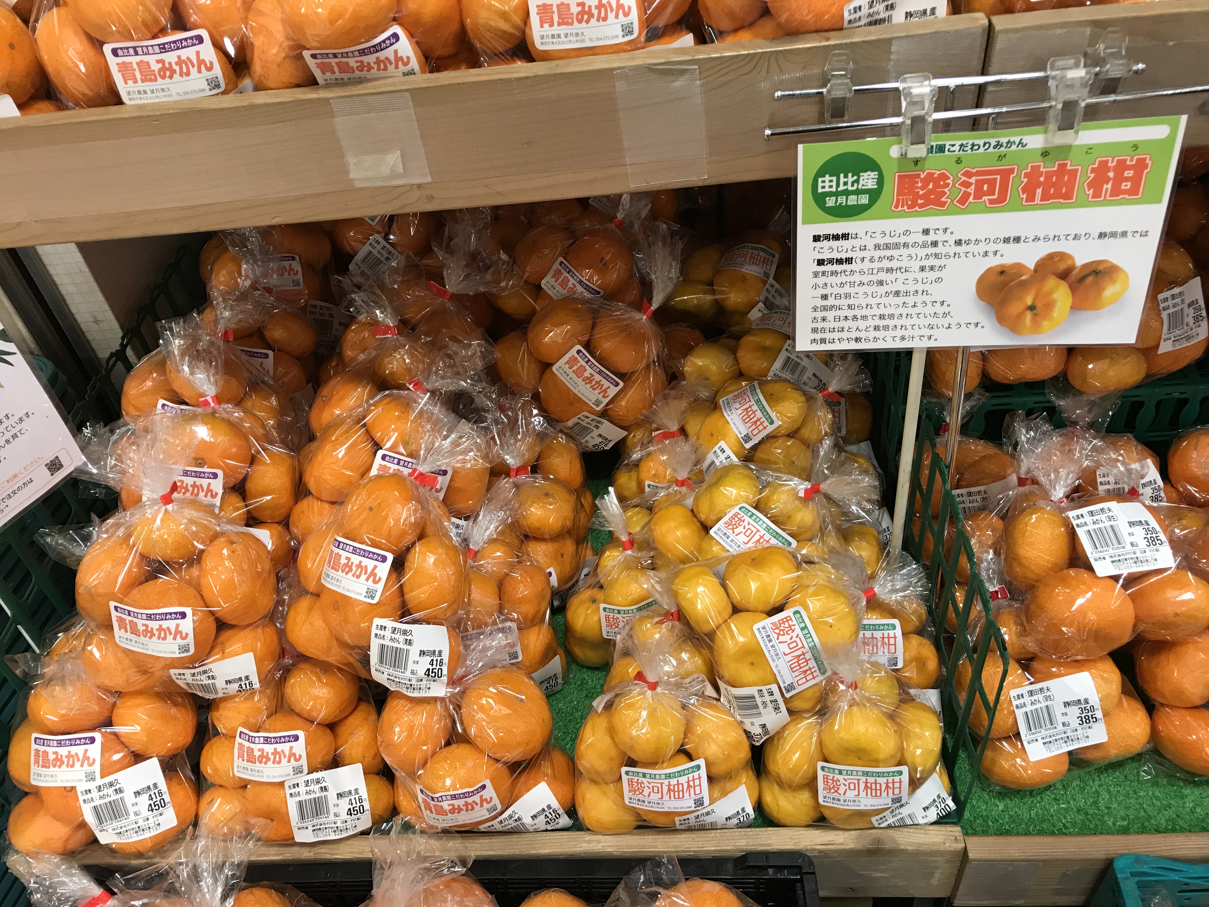 日本の品種、駿河柚柑