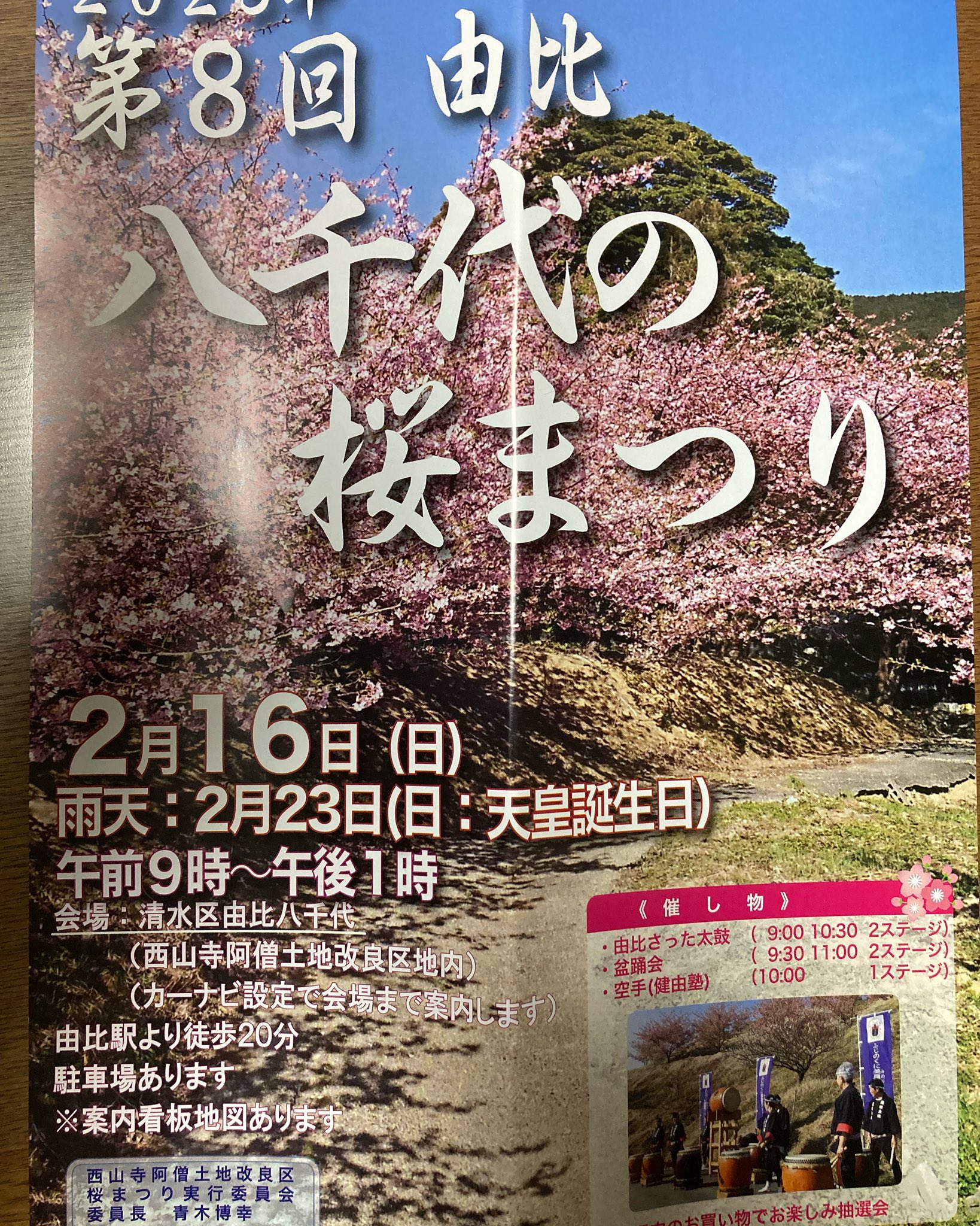 2月16日は桜祭りどうですか？