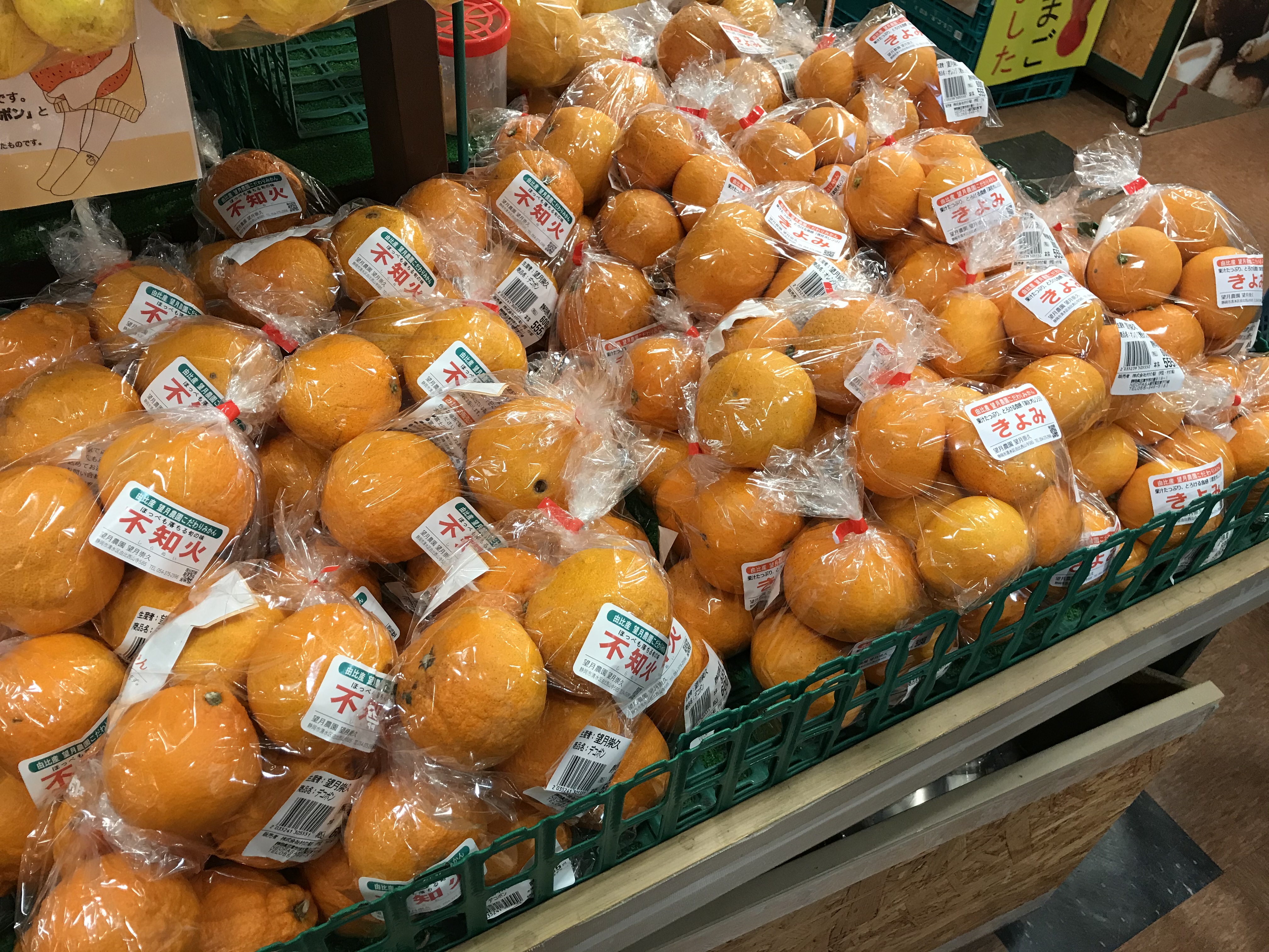今の駿河湾沼津サービスエリア