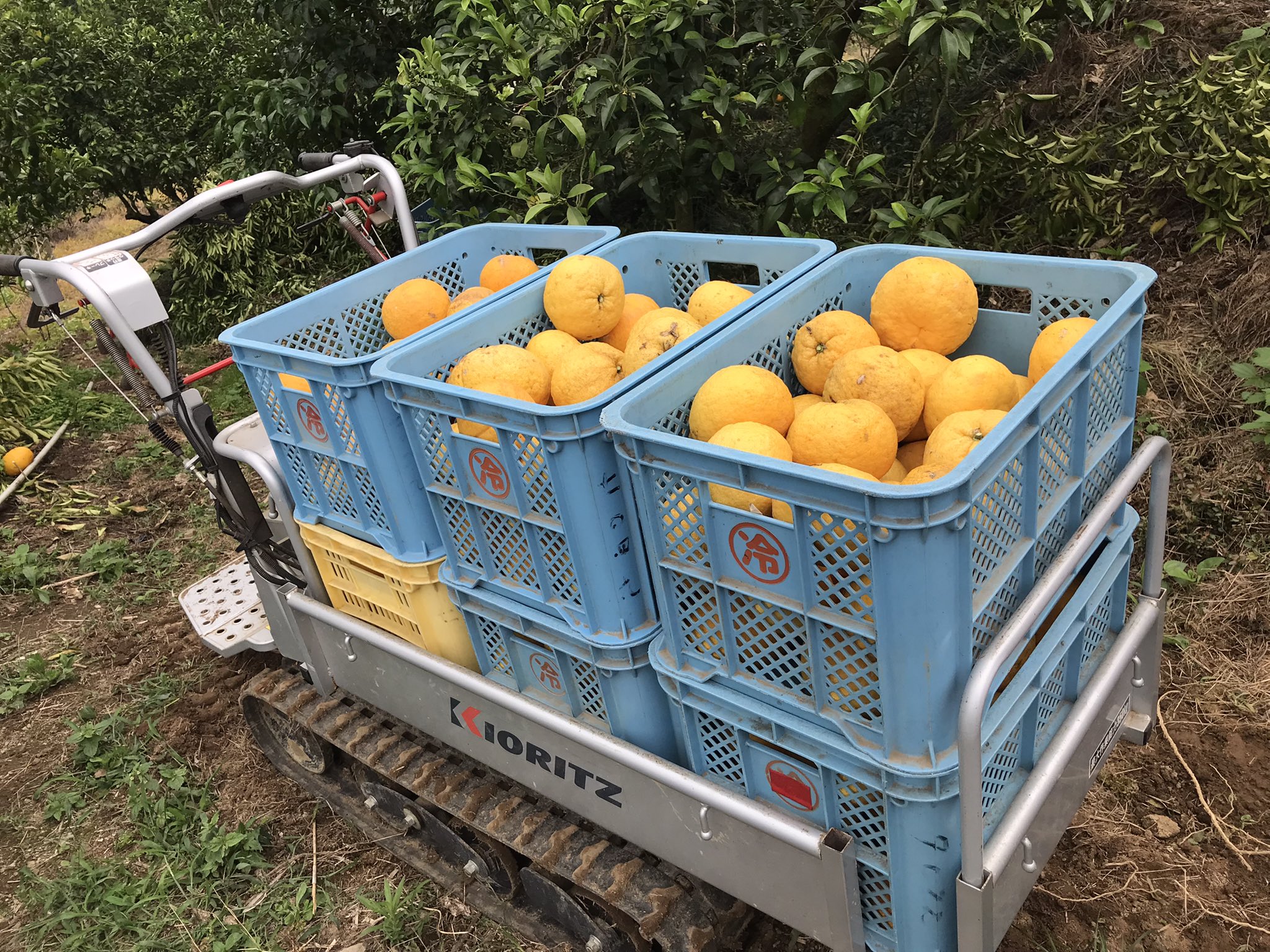 今期の販売、終了！