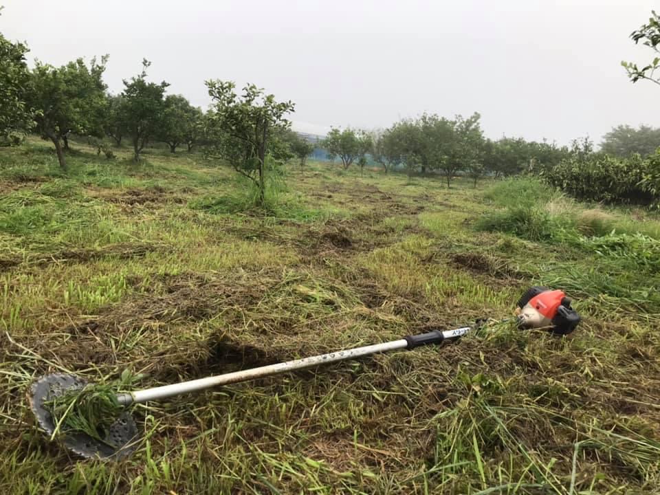 雨の日の草刈り