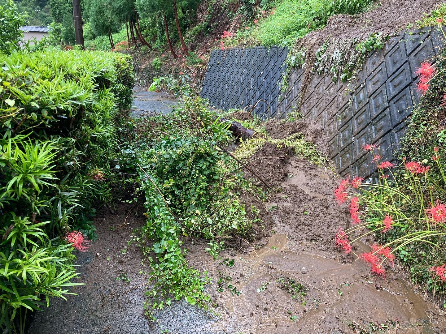 台風15号の爪痕