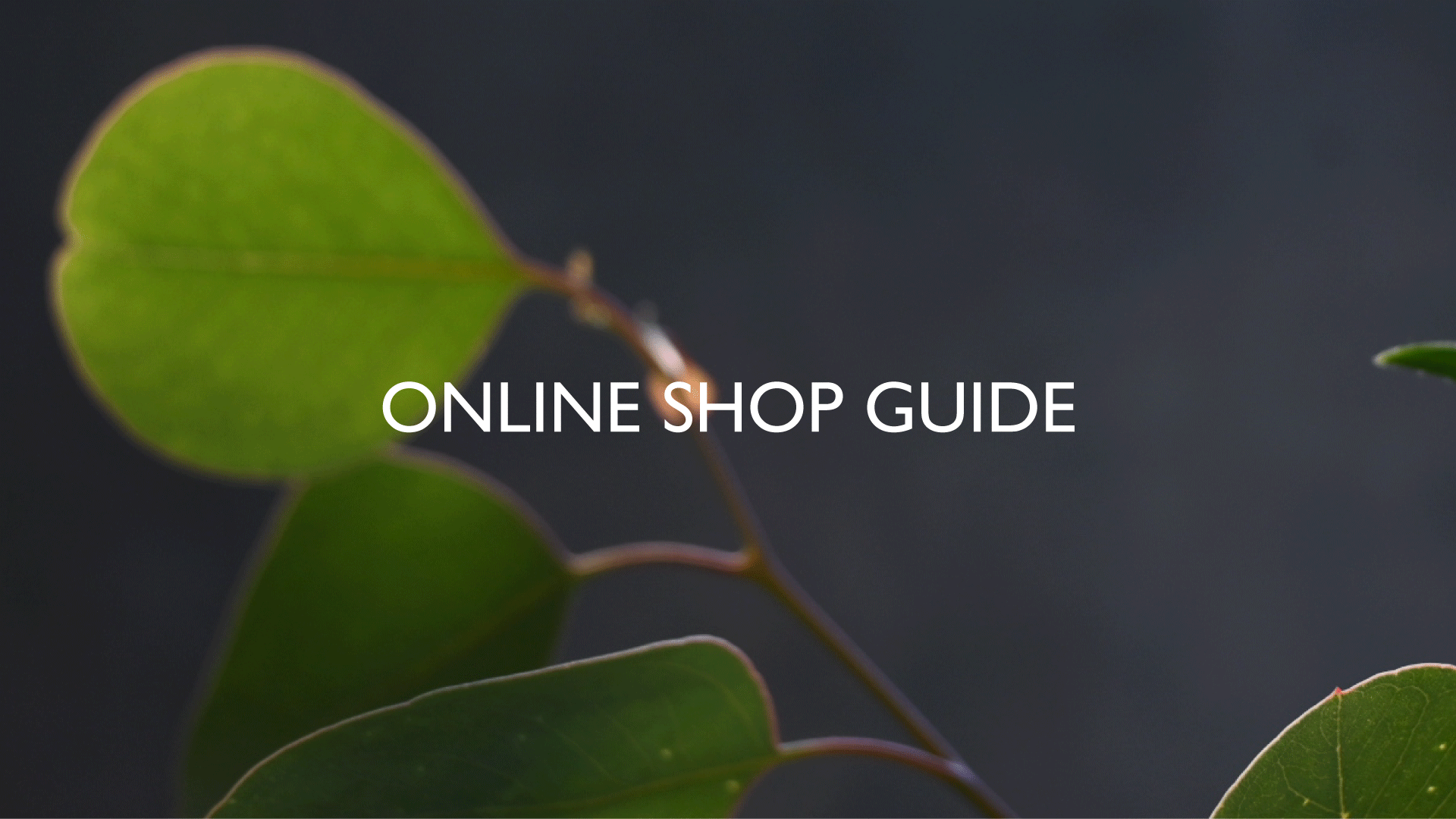 about ONLINESHOP