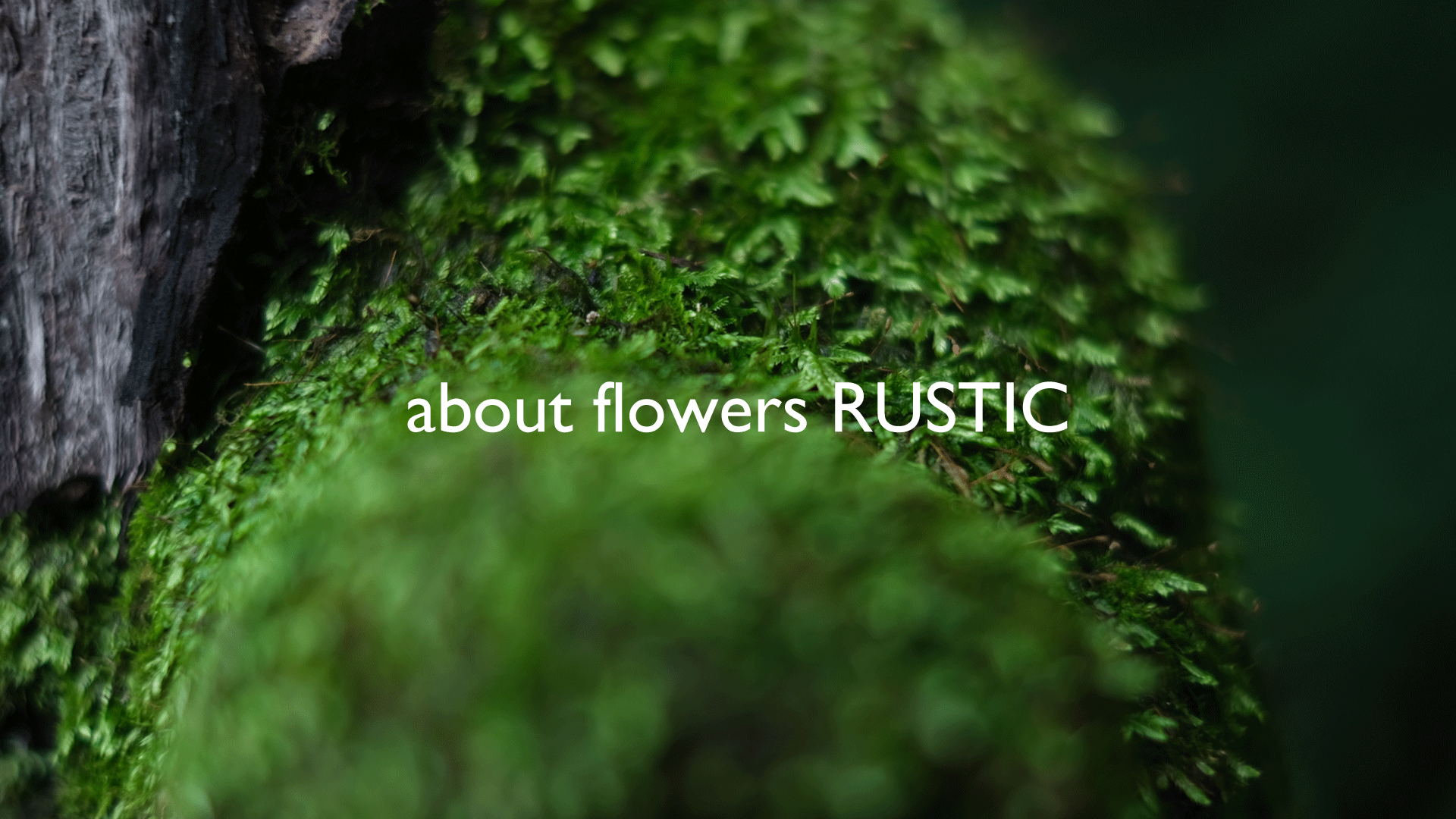 about flowers Rustic