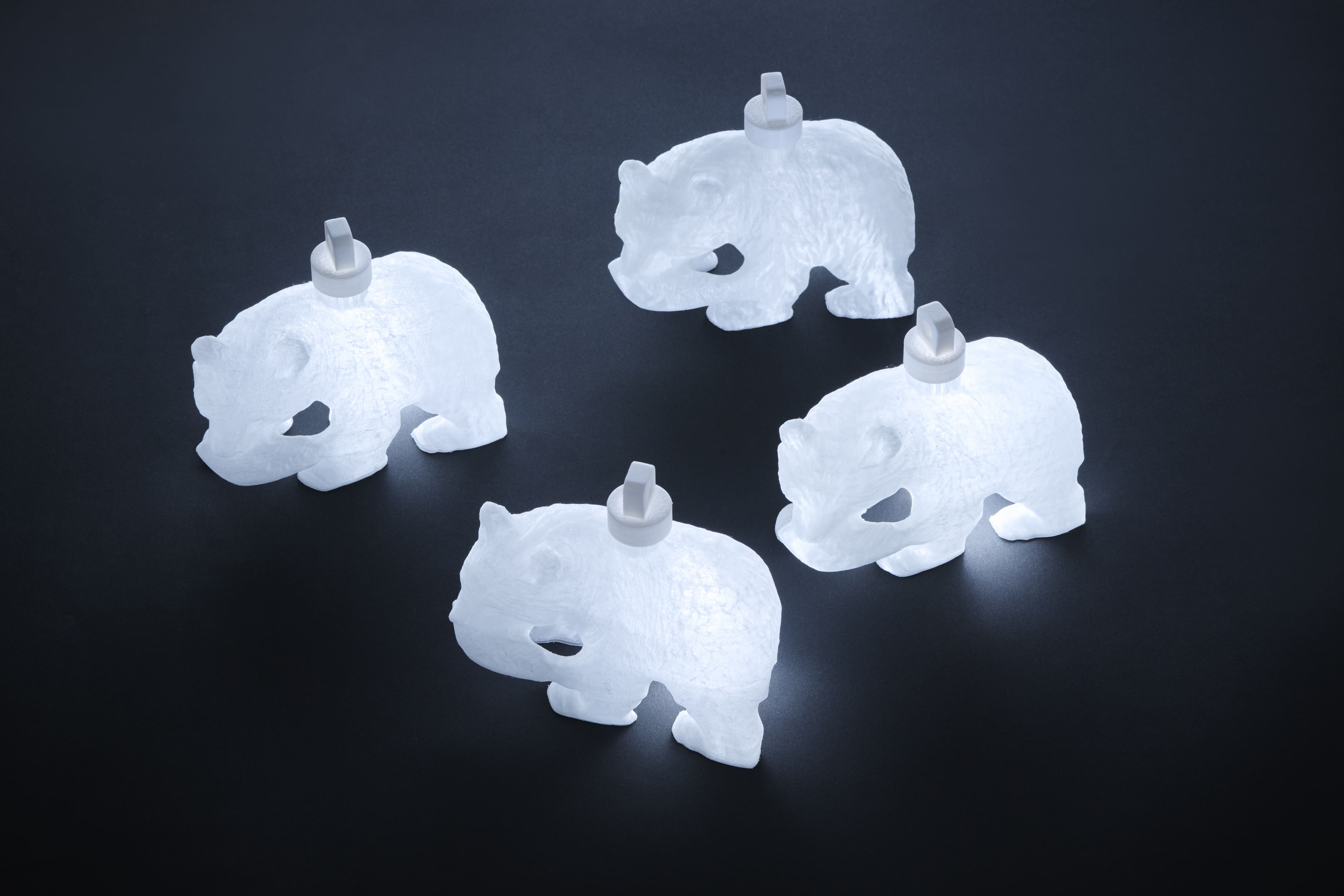 4PLA-Bear
