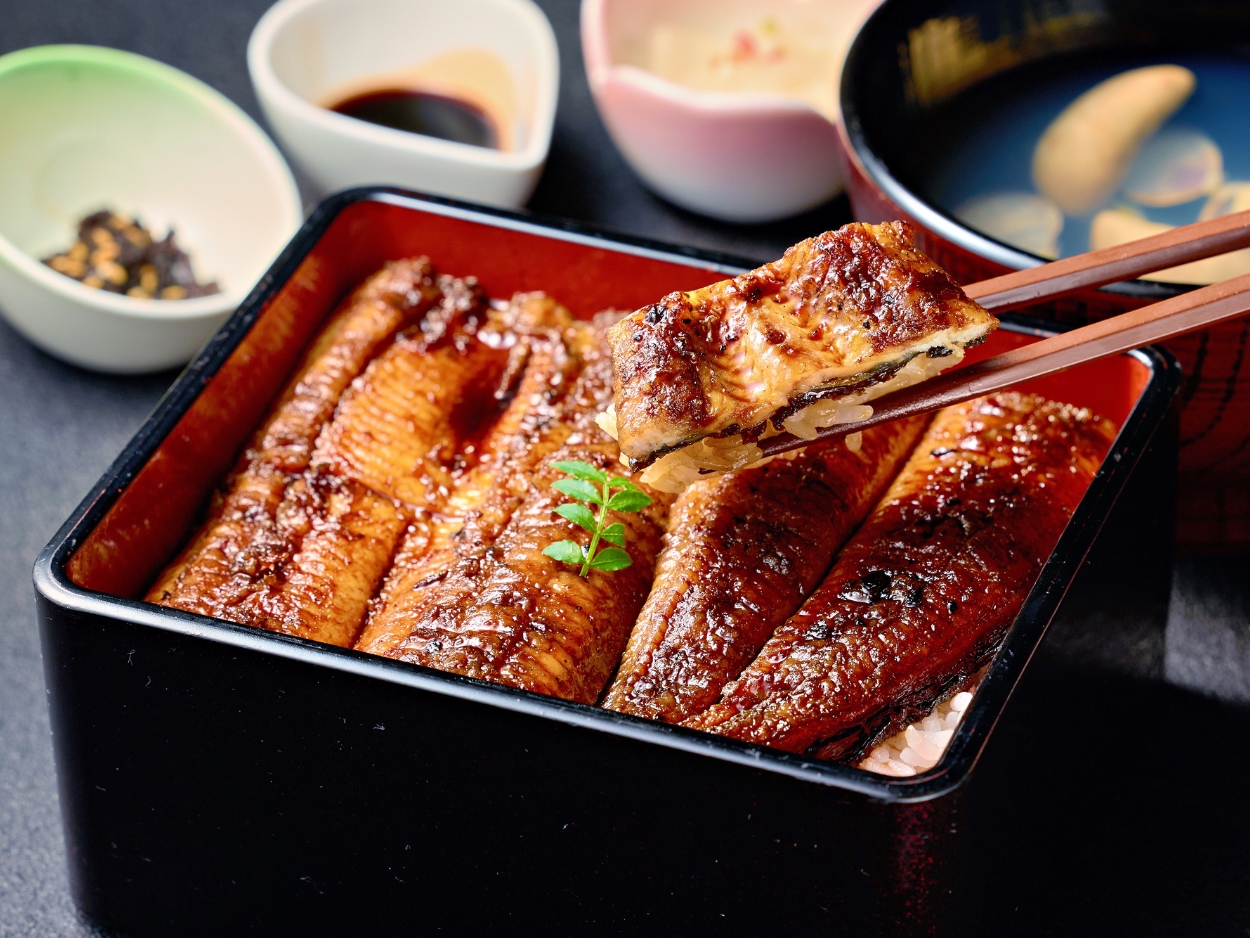 【保存版】知って得する「鰻(うなぎ)」の豆知識|栄養・旬・蒲焼と素焼の違いまで解説!