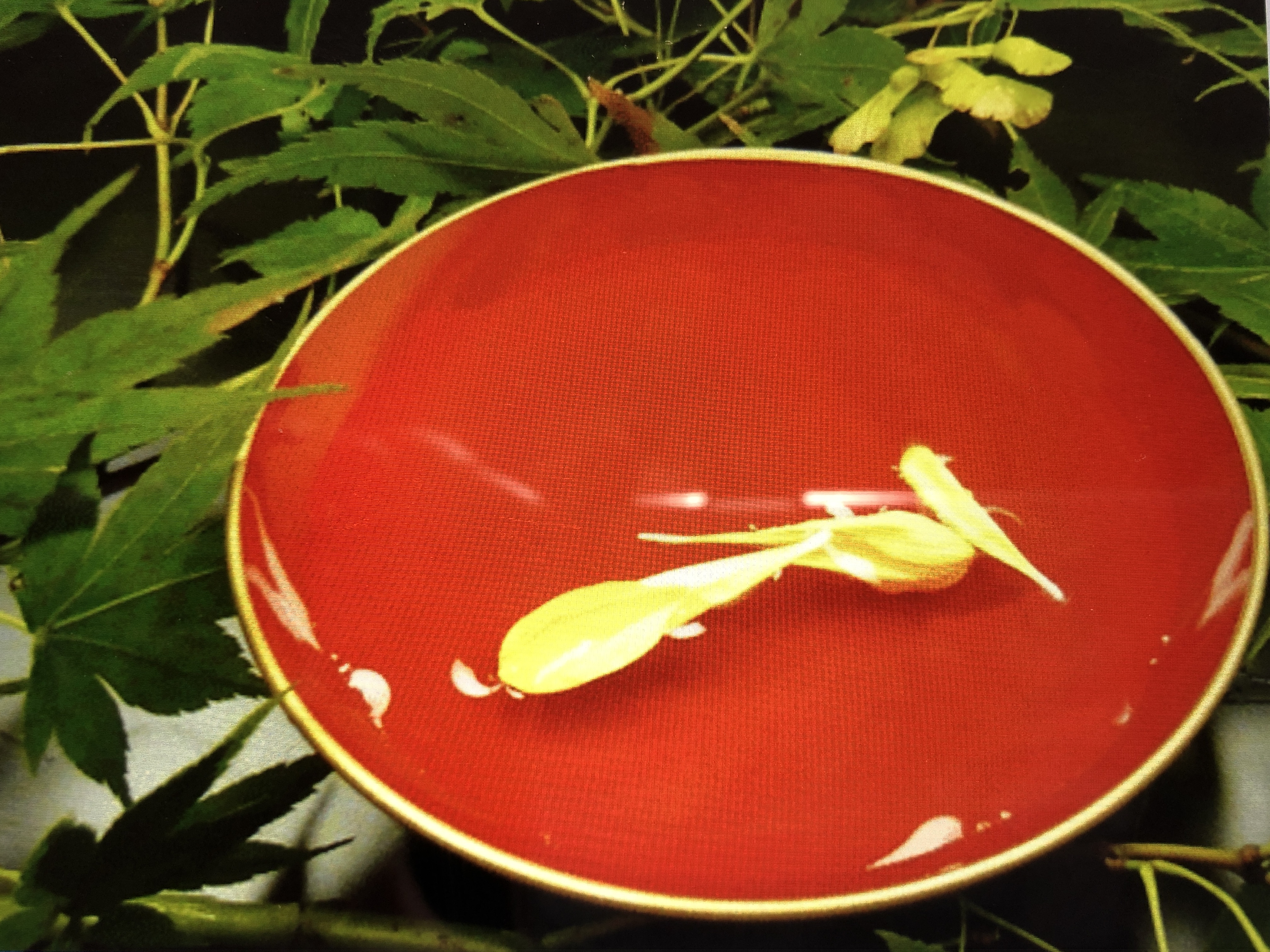 重陽の節句