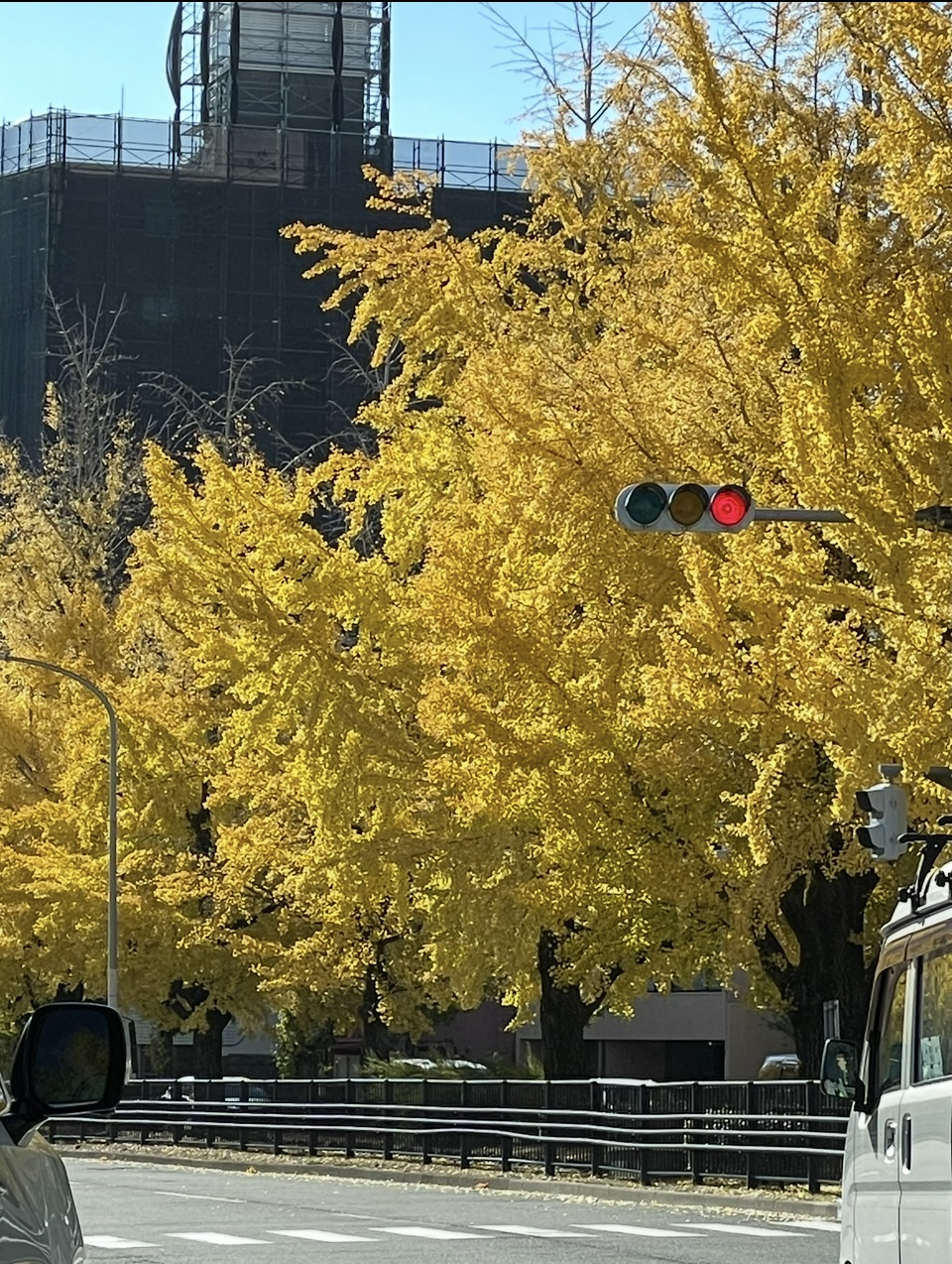 おすすめ紅葉スポット