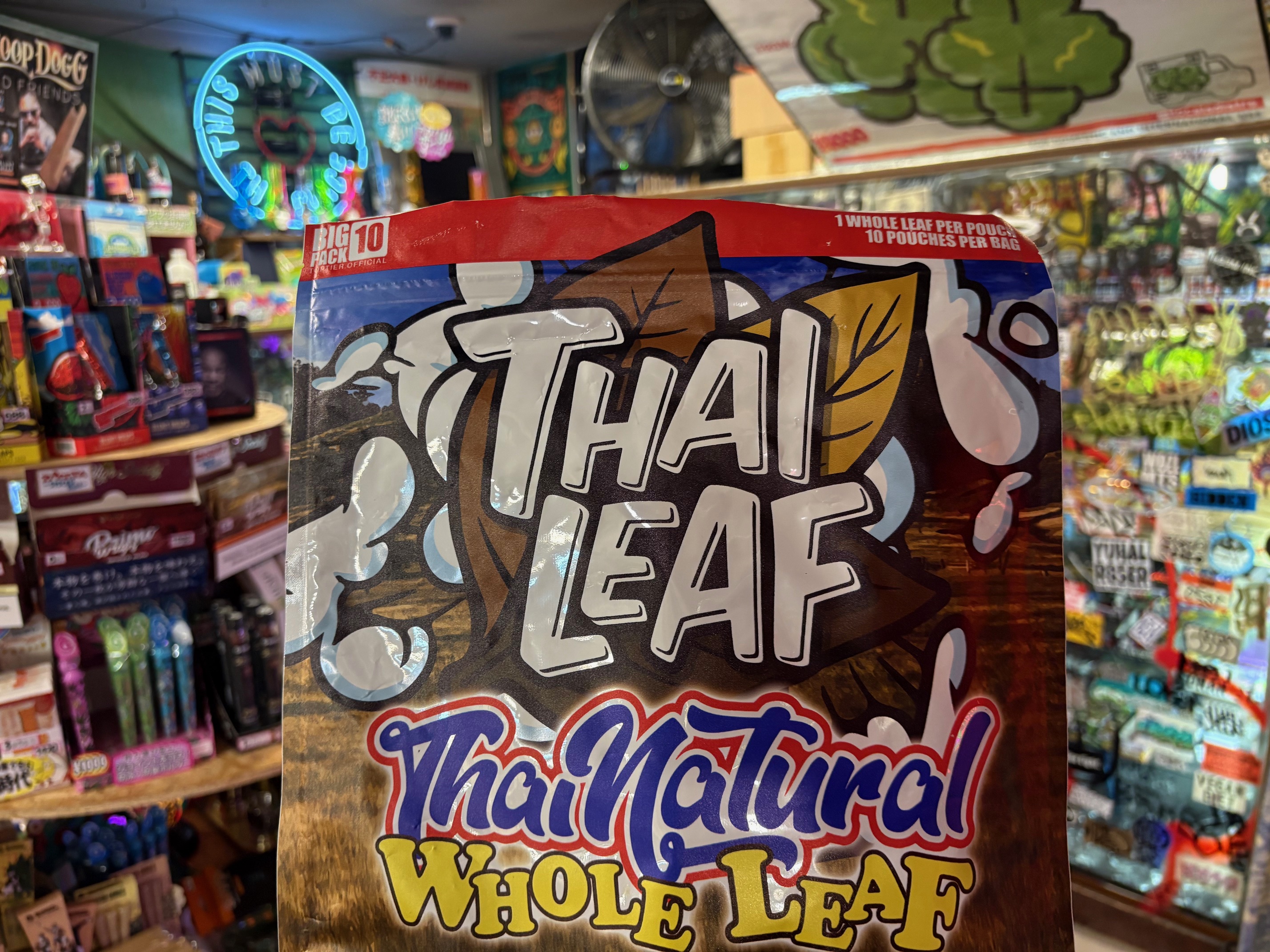 本質を知る旅は、いつも静かな所作から始まる。