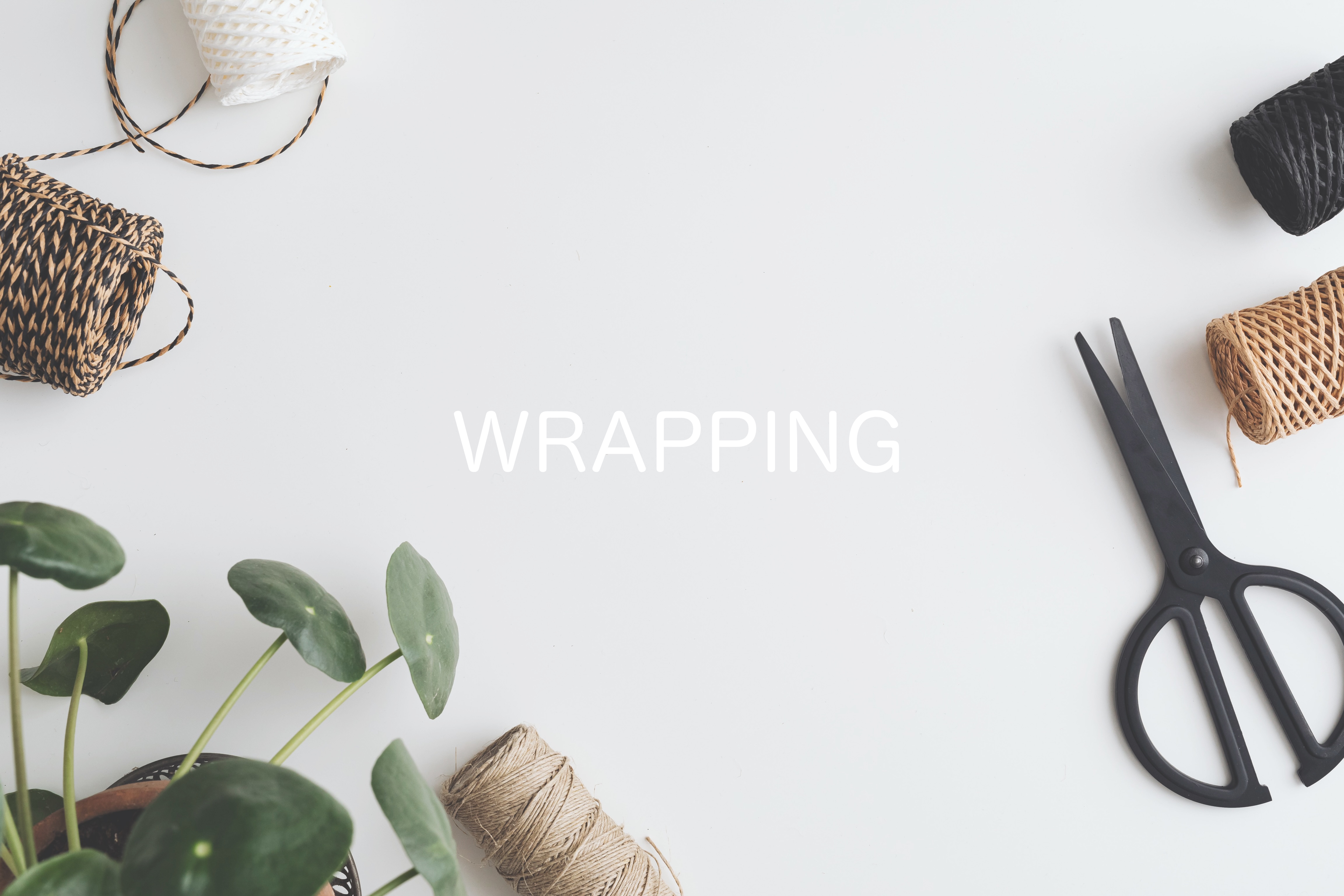 ￤ WRAPPING ￤