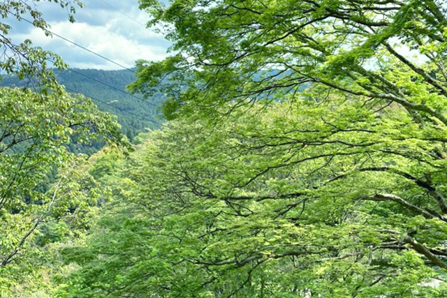4月のお休み