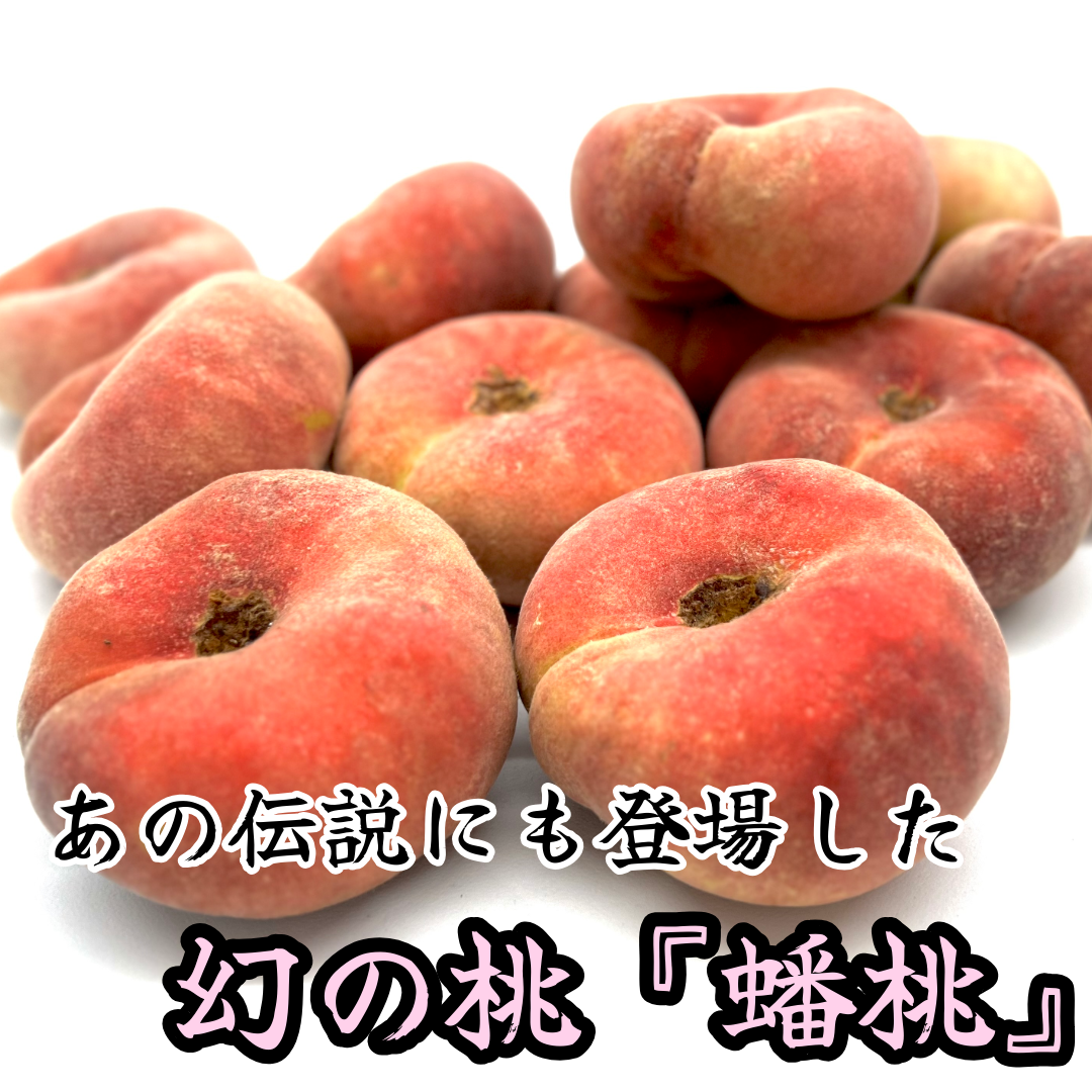 山形県朝日町産伝説にも登場した幻の桃『蟠桃』