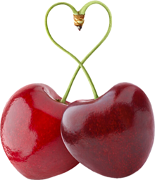 🍒🍒🍒さくらんぼ品種紹介一覧🍒🍒🍒
