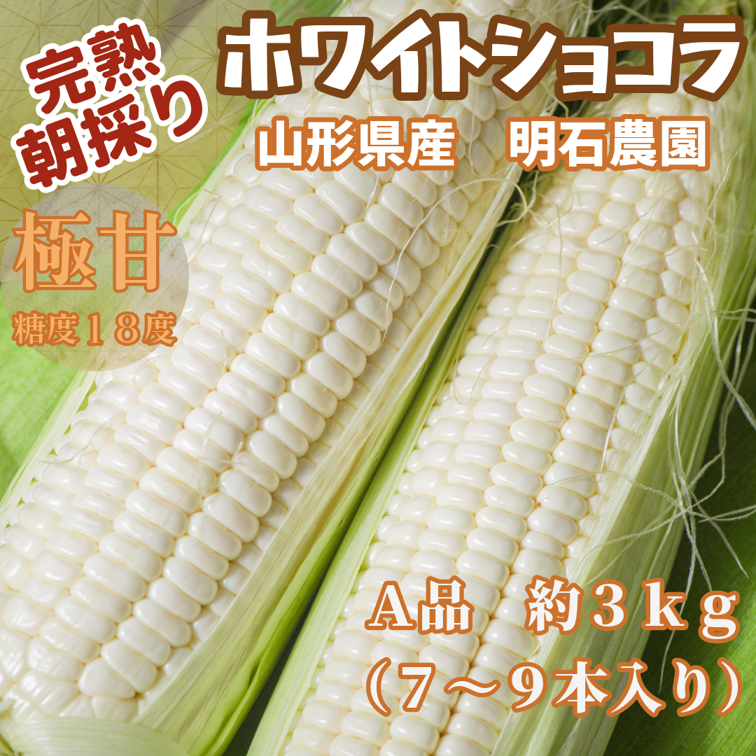 山形県大江町産　果物より甘い！？完熟とうもろこし🌽明石農園のホワイトショコラ