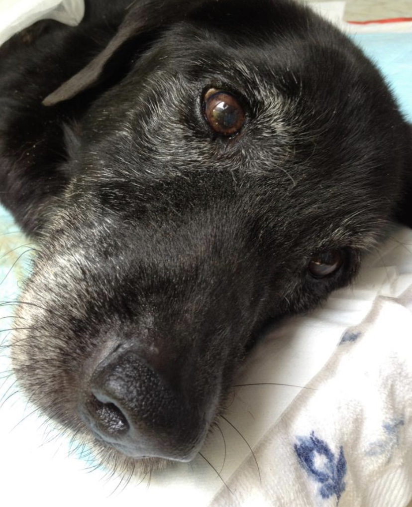 ラビはイケメン笑笑