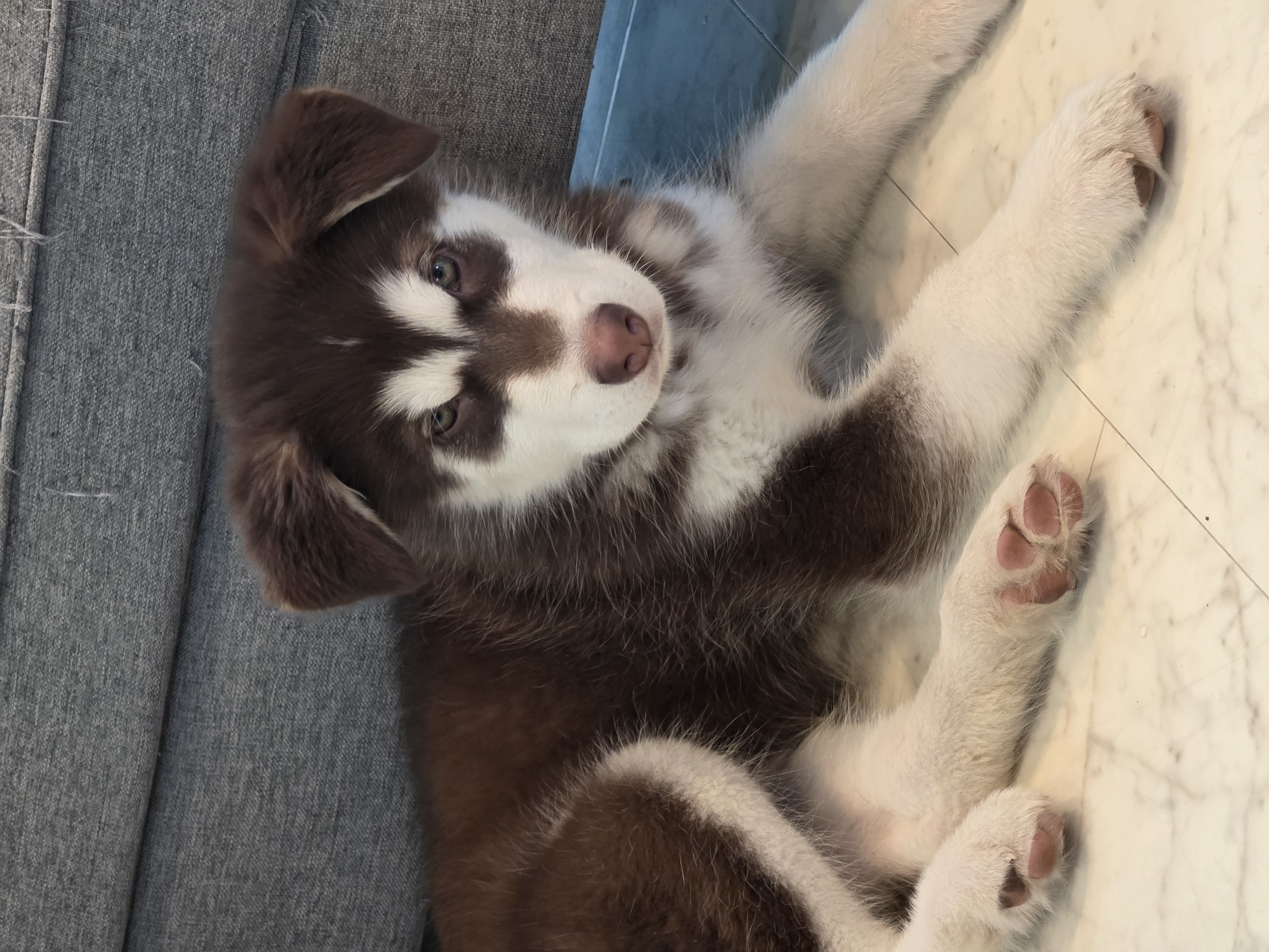 もう2月だって...