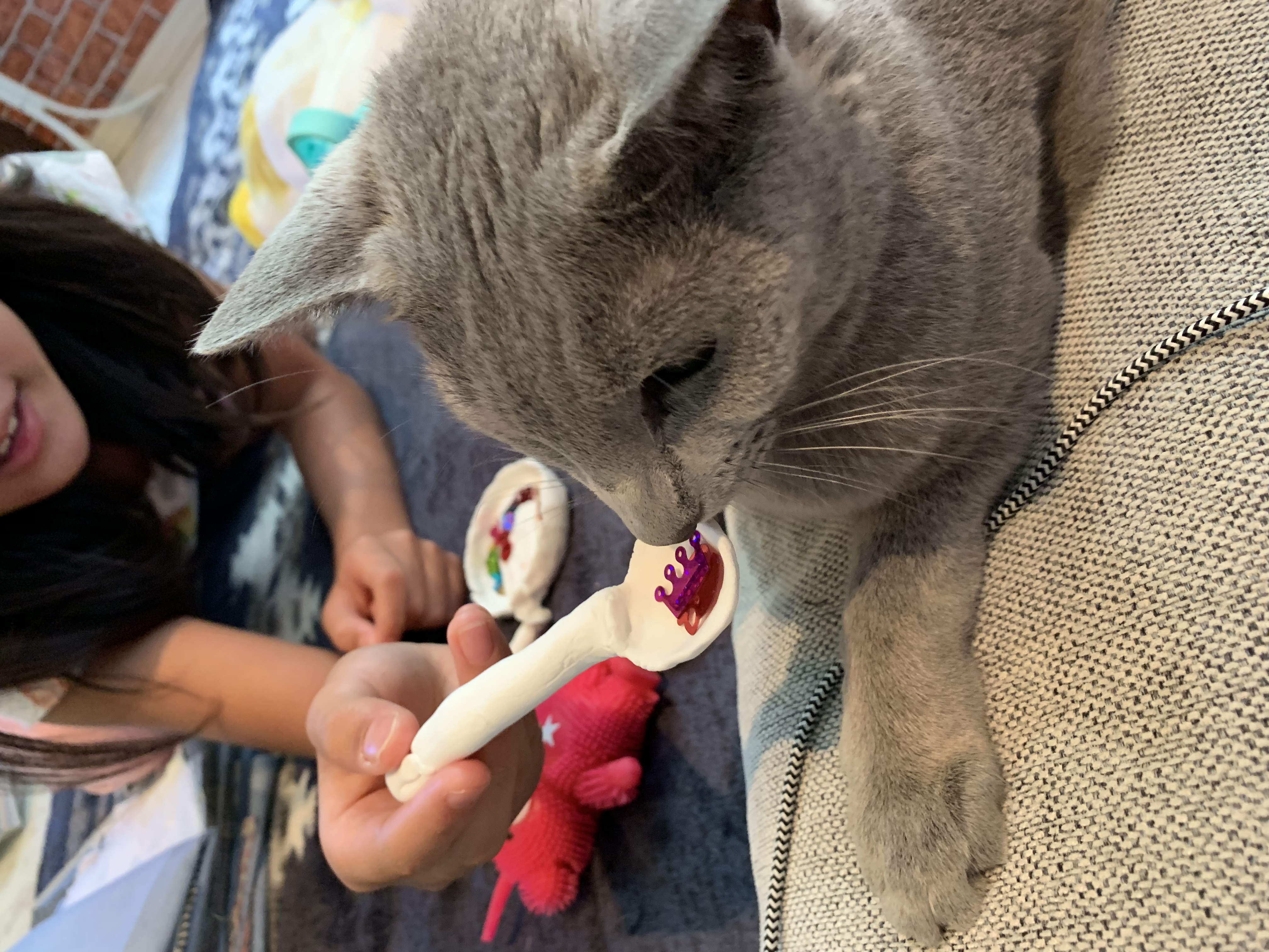 にゃんくんの朝、、